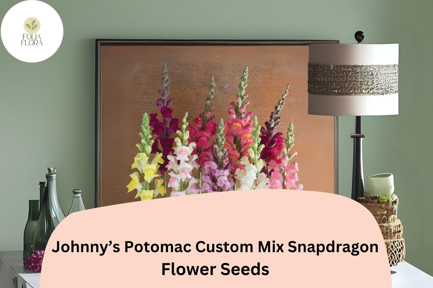 Snapdragon Seeds 1000+ Johnny’s Potomac Custom Mix - Vibrant, Tall, Pollinator-Friendly Antirrhinum majus