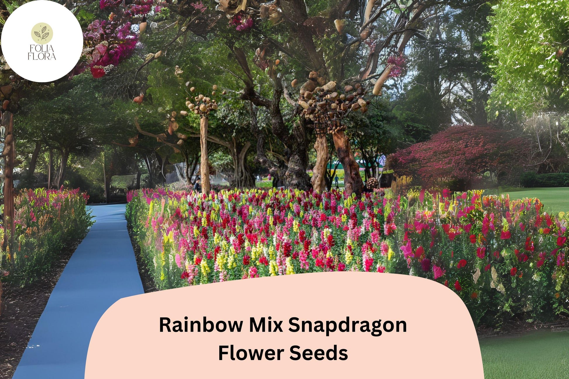 Antirrhinum majus Rainbow Mix Snapdragon Seeds – Multicolor Flower Seeds for Vibrant Garden & Cut Flowers