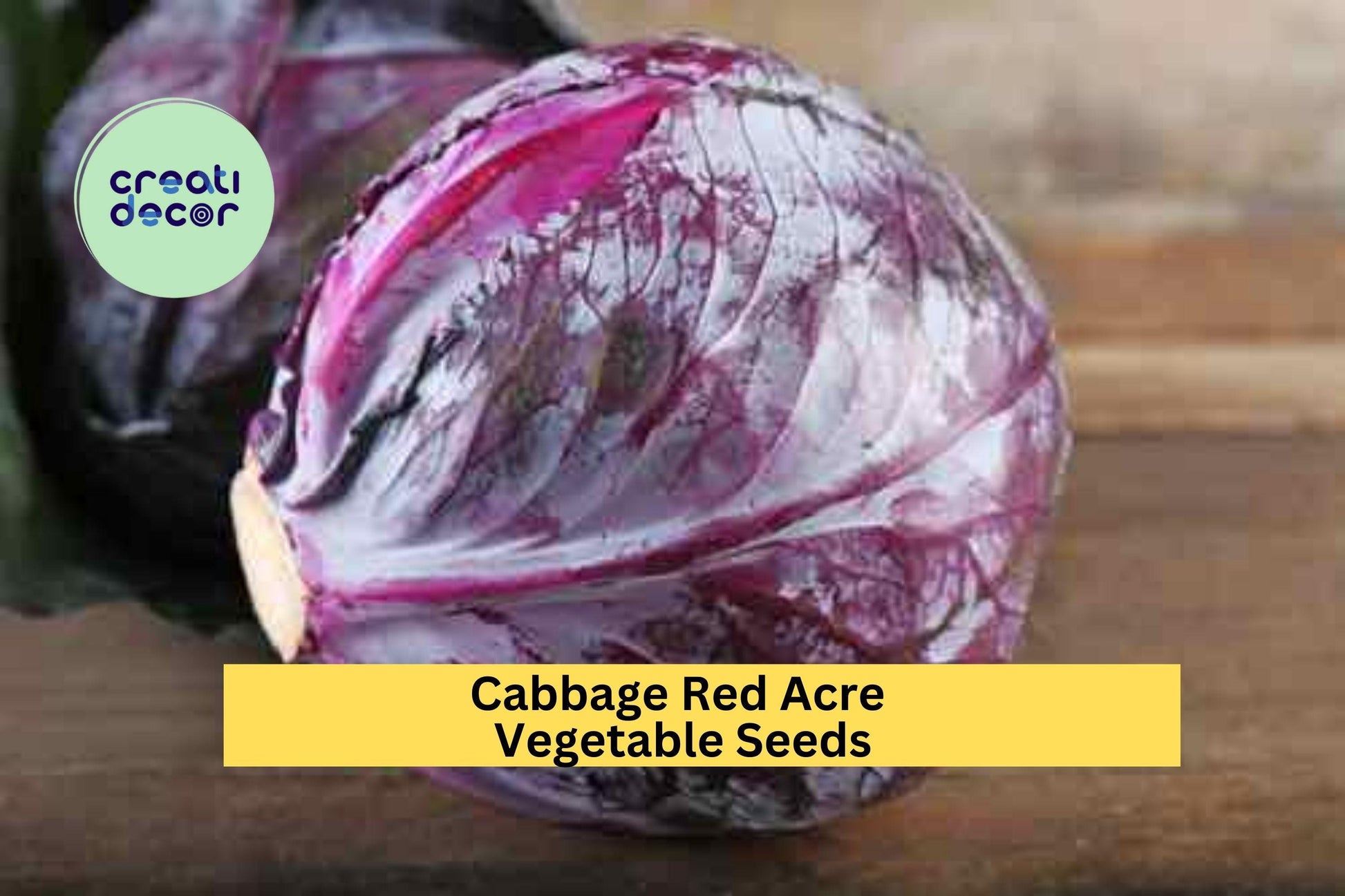 Red Acre Cabbage Seeds 3 Pack – Heirloom Compact Brassica oleracea for Garden Beds & Containers, Purple-Red Heads, Crisp Flavor