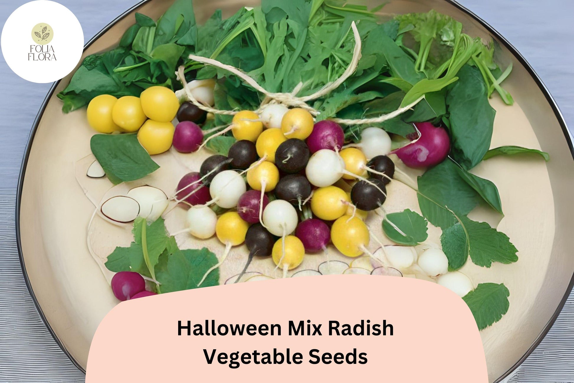 Halloween Mix Radish Seeds – Colorful Heirloom Blend for Fast-Growing, Cold-Hardy Root Vegetables
