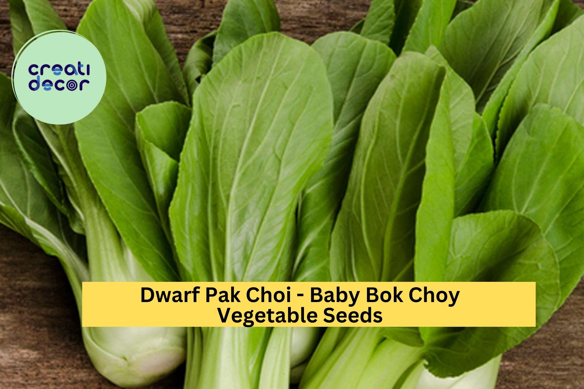 3pcs Baby Bok Choy Seeds – Dwarf Pak Choi Variety for Container Gardening & Asian Cooking, Brassica rapa subsp. chinensis