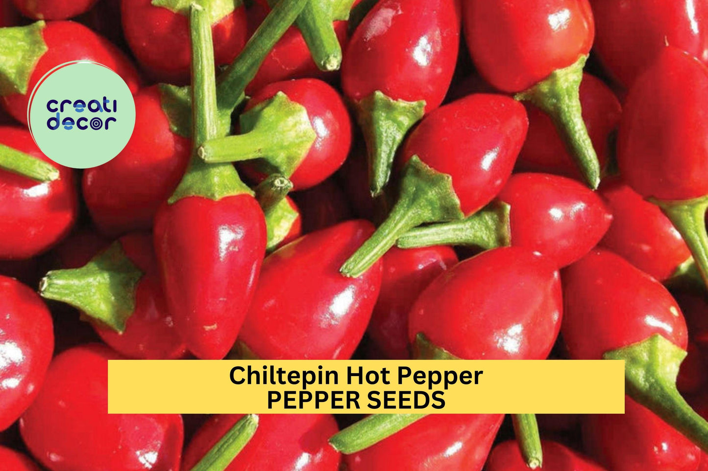3pcs Chiltepin Hot Pepper Seeds – Wild Capsicum annuum var. glabriusculum for Salsas, Pickling & Hot Sauces