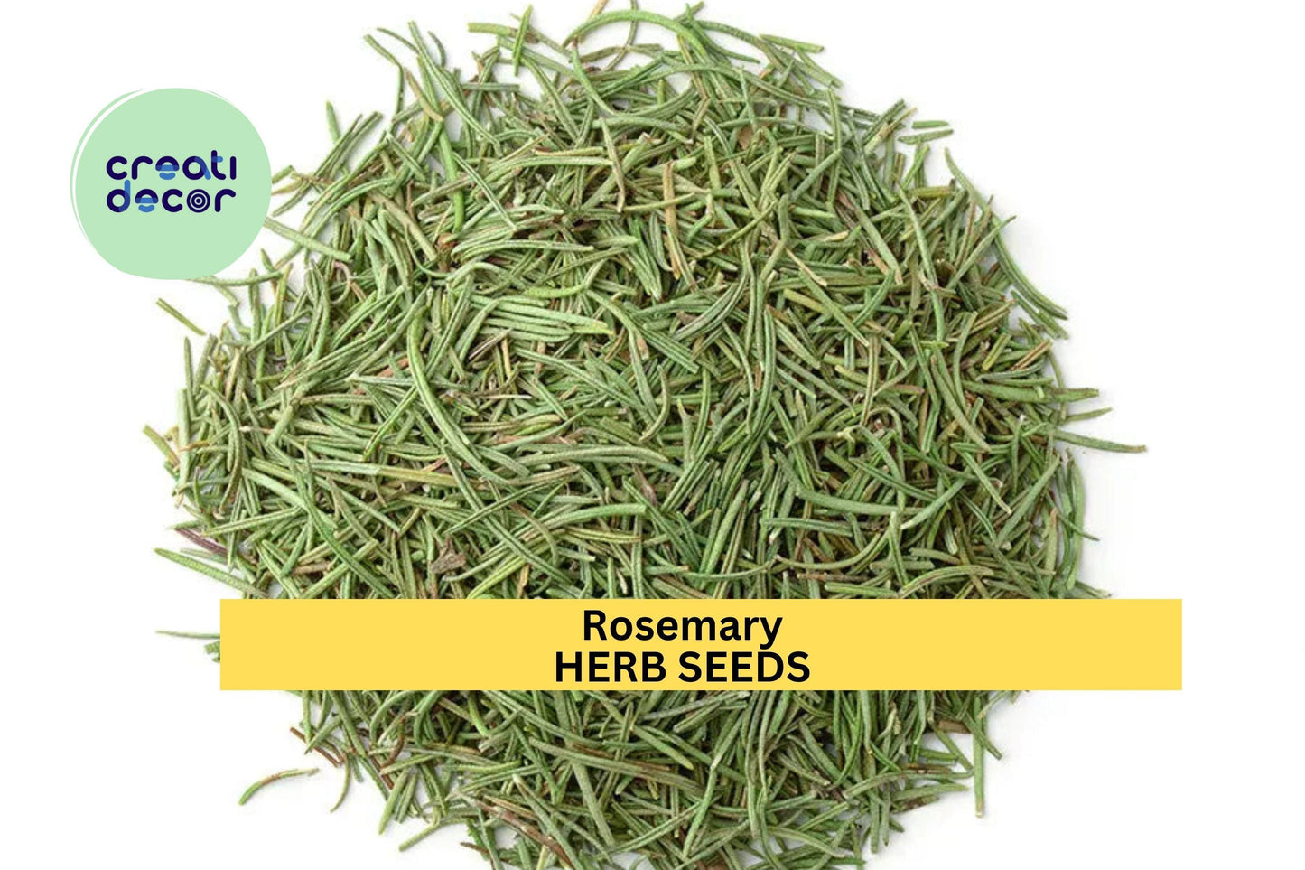 3pcs of 100mg Rosemary Herb Seeds – Fragrant Evergreen Culinary Herb – Rosmarinus officinalis for Cooking, Container Gardening & Drought Tolerance