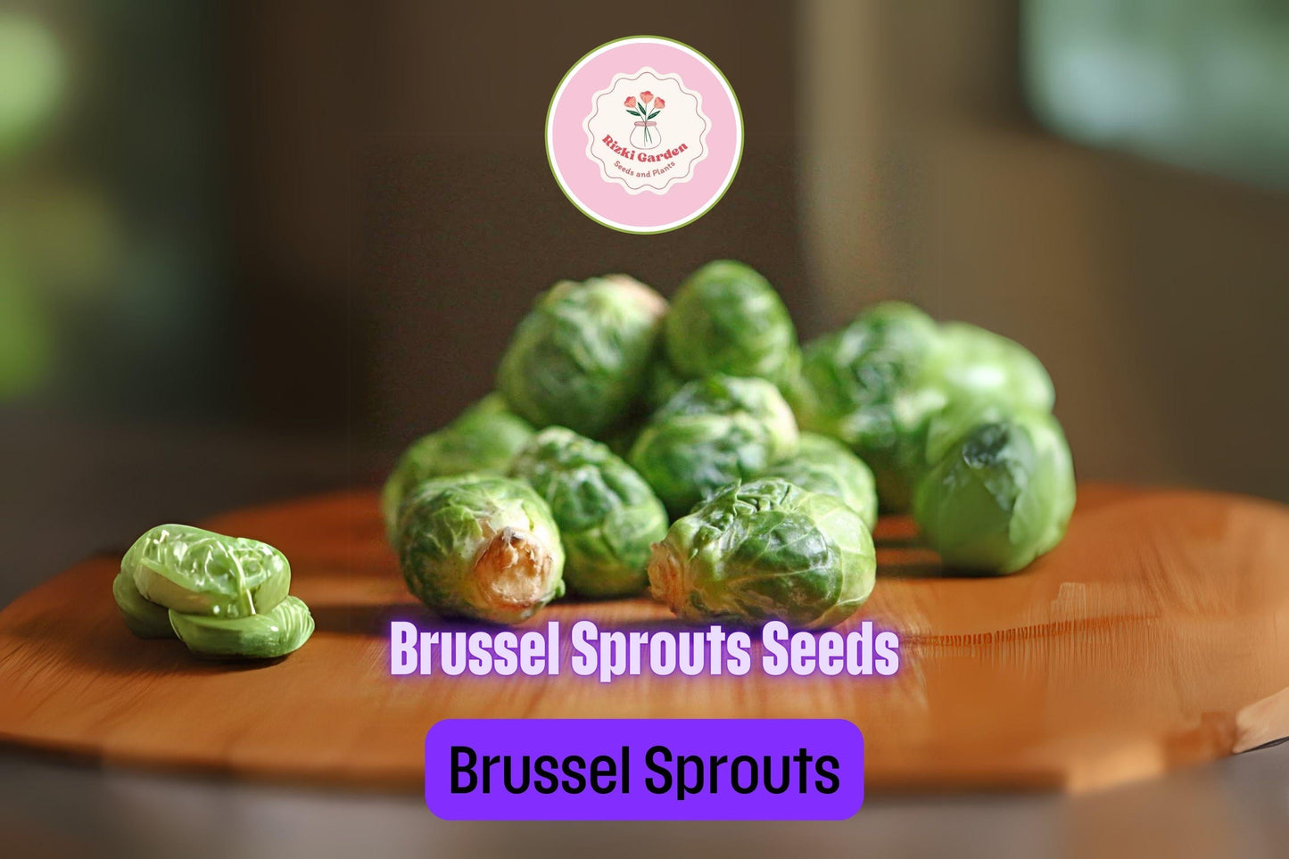 250+ Brussels Sprouts Seeds | Non-GMO Brassica oleracea | Cold Weather Vegetable for Fall Harvest