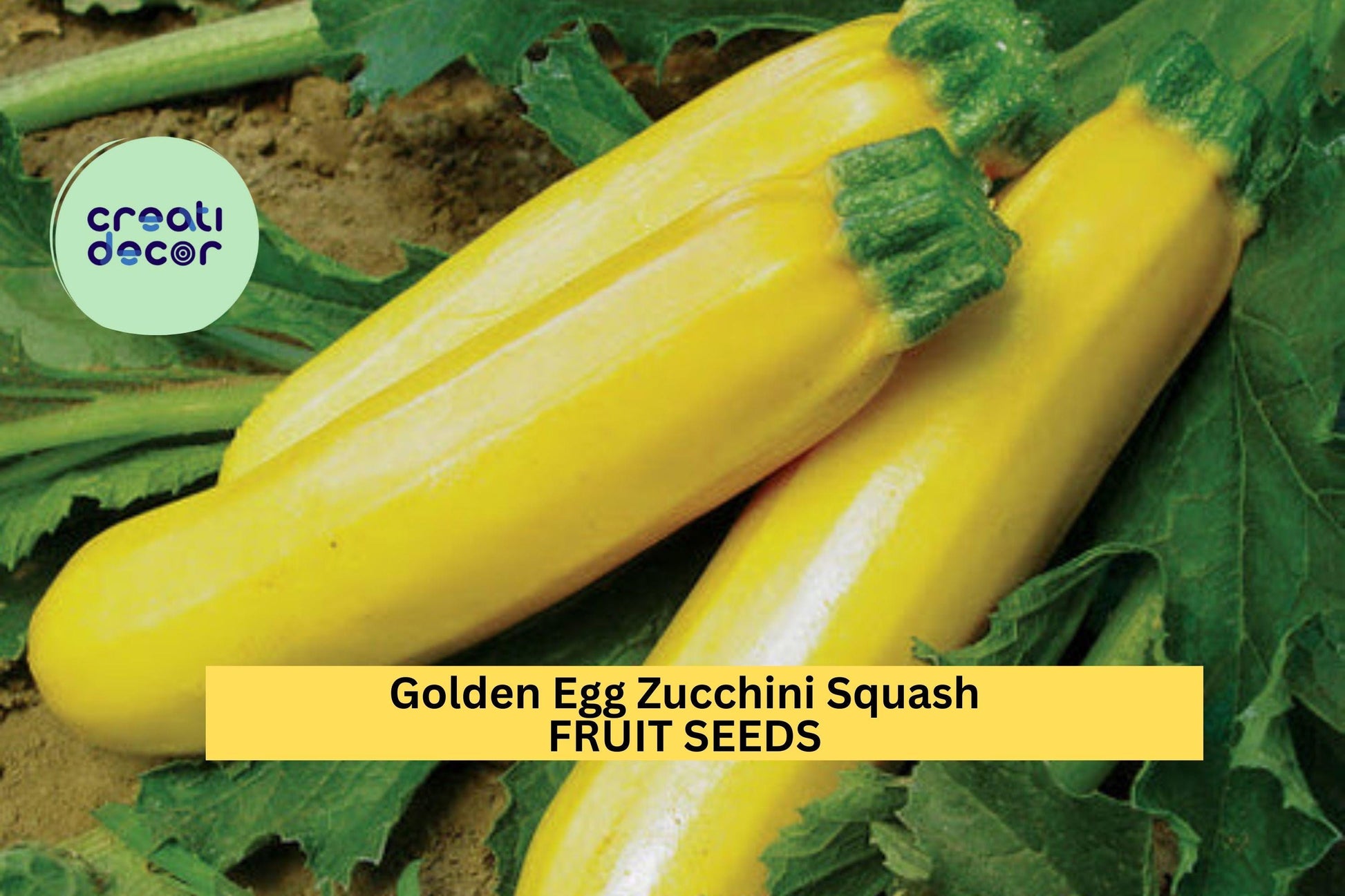 Golden Egg Zucchini Seeds – Bright Yellow Egg-Shaped Summer Squash, Compact, High-Yield Cucurbita pepo, for Garden & Container Planting