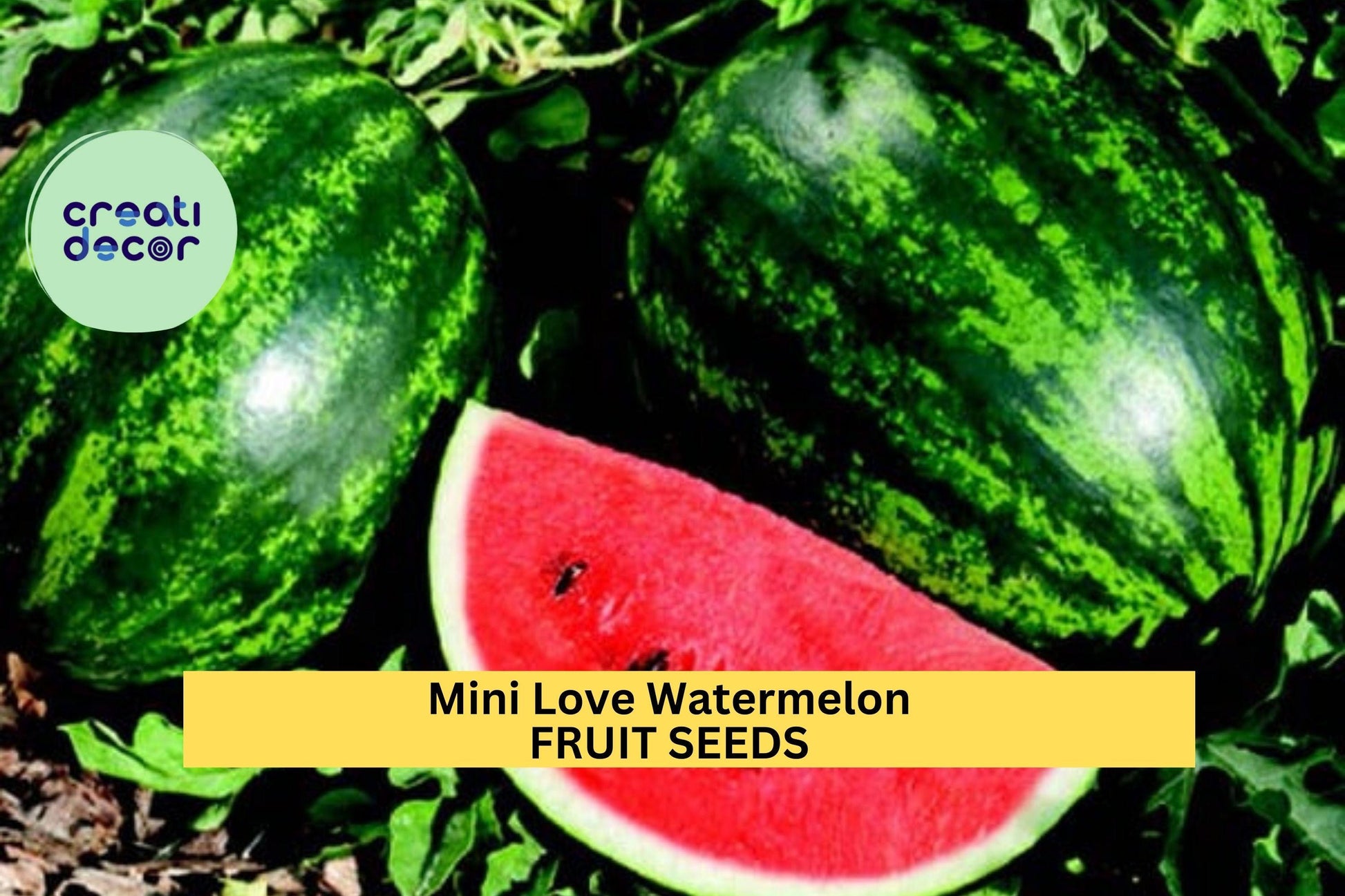Mini Love Watermelon Seeds – 50+ Seeds, Small Red Fruit, Compact Citrullus lanatus for Raised Beds & Patio Growing