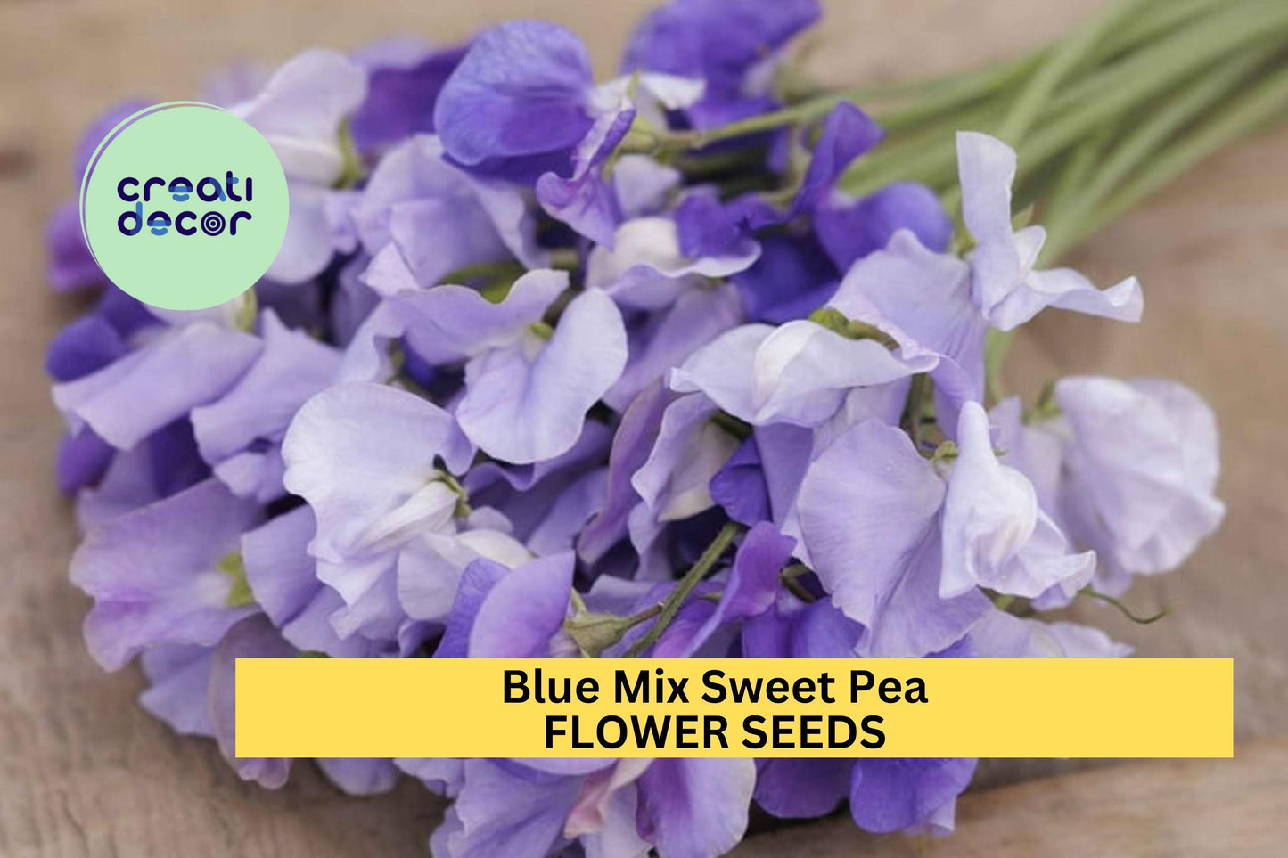 Blue Mix Sweet Pea Seeds – Climbing Flower Vine with Violet, Lavender & Light Blue Blooms, Lathyrus odoratus, 50+ Seeds