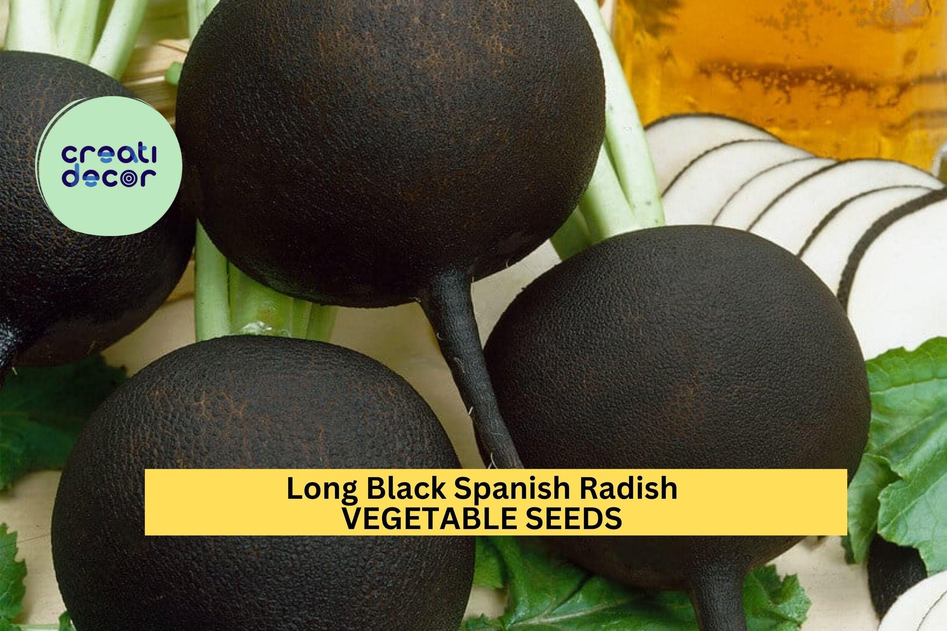 Long Black Spanish Radish Seeds – Heirloom Winter Radish, Black Skin & White Flesh, Raphanus sativus, 500+ Seeds
