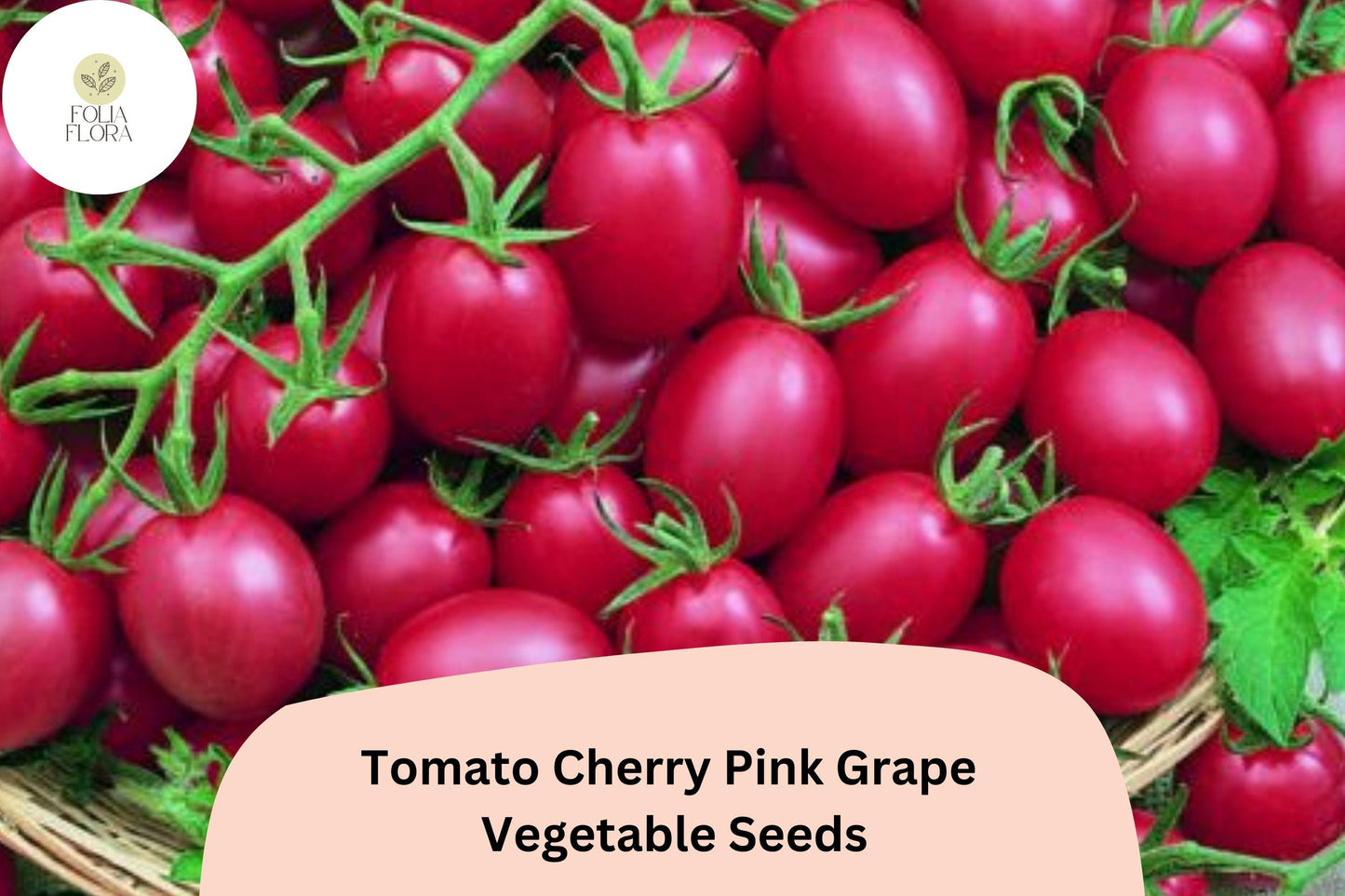 Pink Grape Cherry Tomato Seeds, 200 Non-GMO Heirloom, Grape-Shaped, Pink Fruit, Indeterminate, Solanum lycopersicum