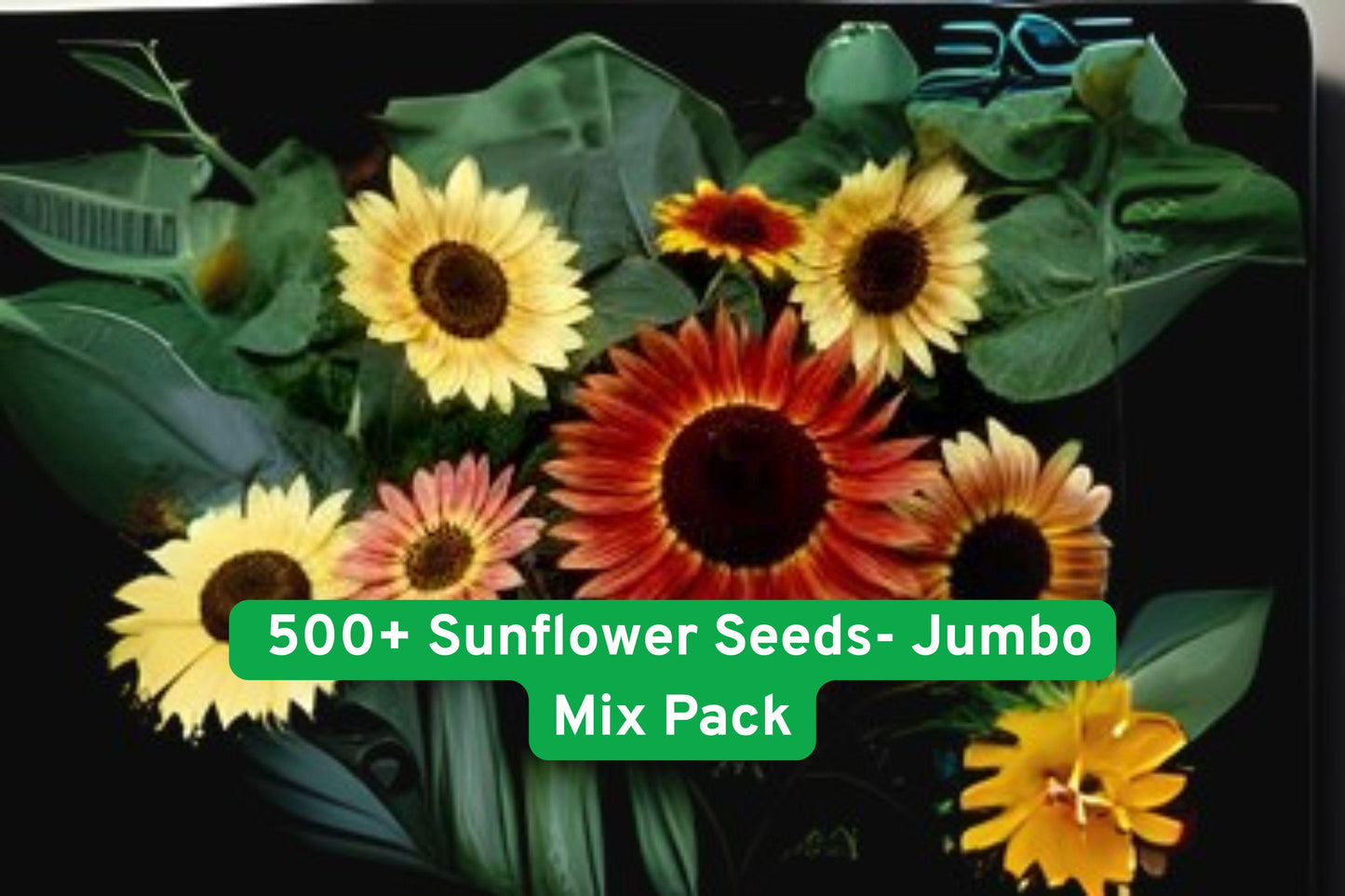sunflower seeds, heirloom sunflower mix, colorful sunflower seeds, garden flower seeds, outdoor plant seeds, pollinator attractor seeds, cut flower sunflower, tall sunflower varieties, bee friendly seeds, USA grown sunflower, jumbo seed pack, annual sunflower seeds