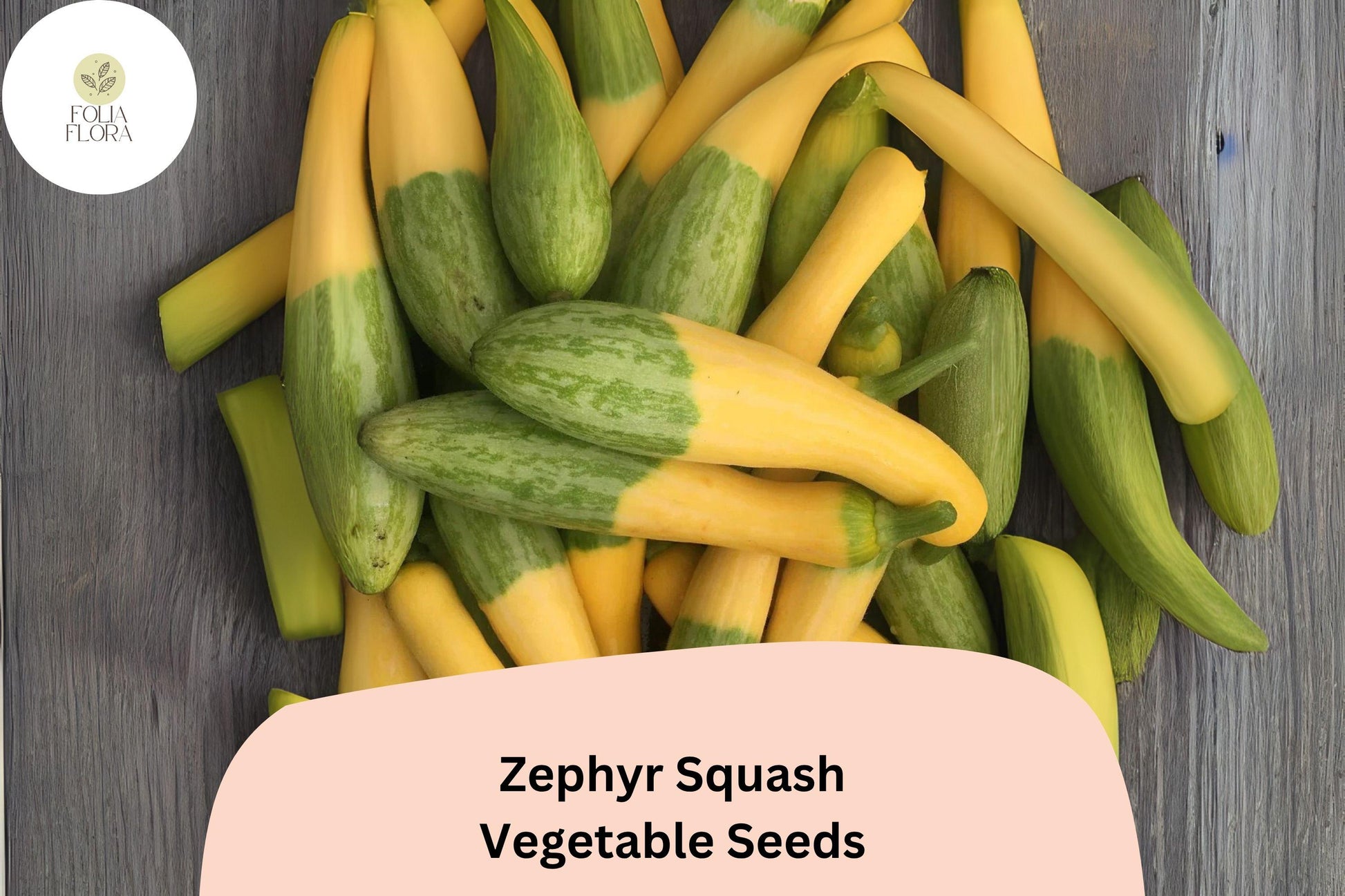 Zephyr Squash Seeds | Heirloom Summer Vegetable | Cucurbita pepo | Yellow Green Two-Tone Fruit, 25+ Fresh Seeds