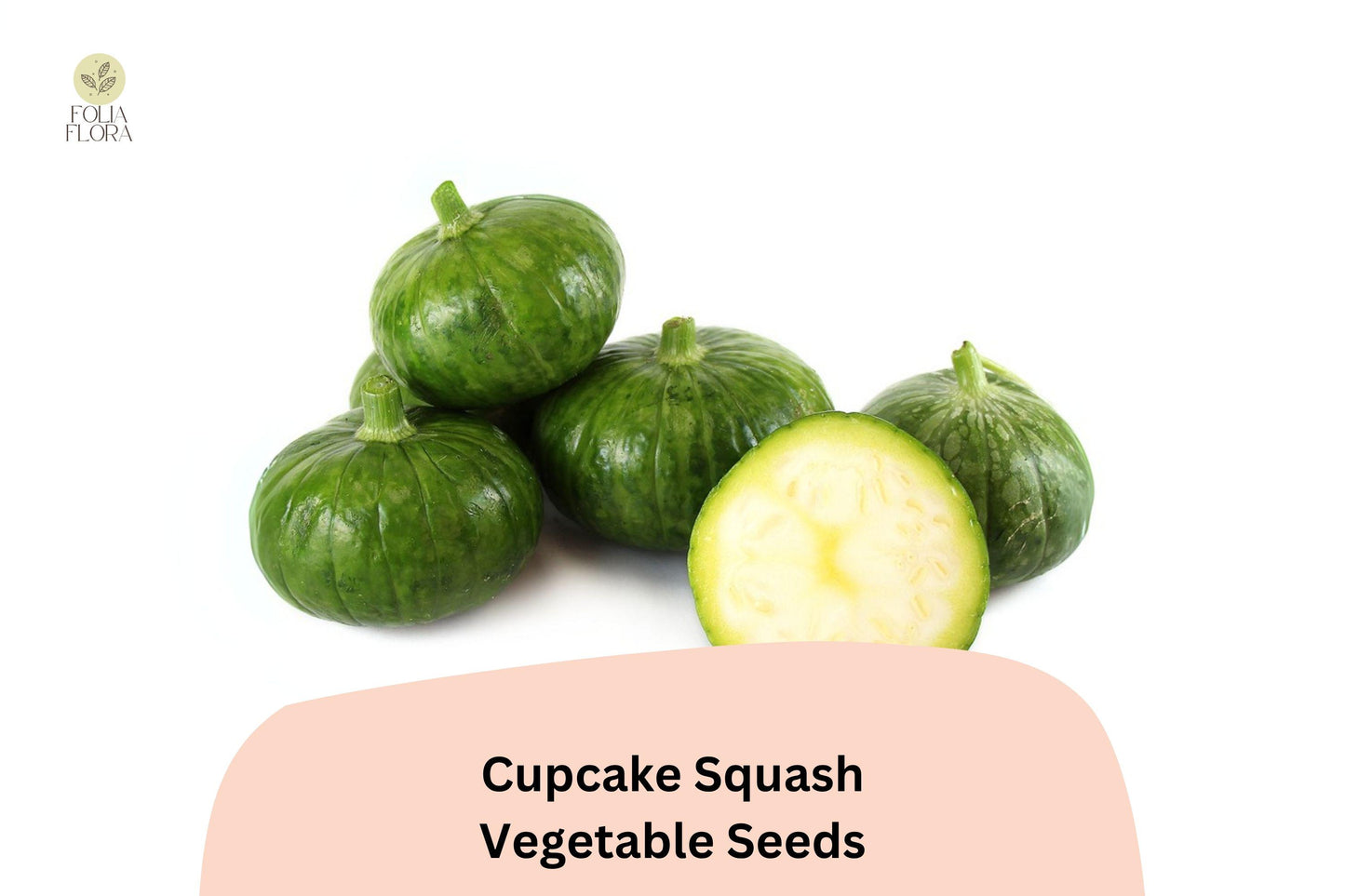 Cupcake Squash Seeds | Patty Pan Zucchini | Cucurbita pepo | Bush-Type Summer Vegetable for Container Gardening