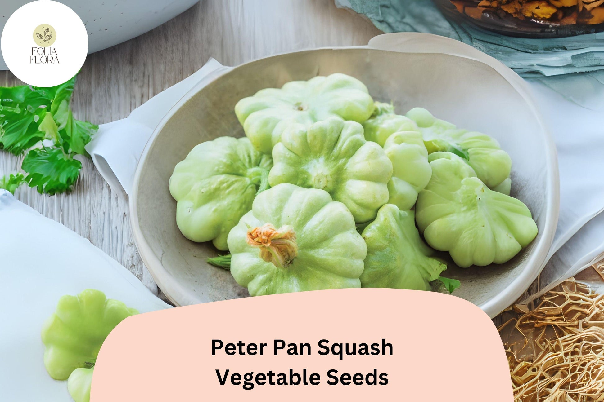 Peter Pan Squash Seeds | Heirloom Green Patty Pan Cucurbita pepo | Compact Bush Summer Vegetable
