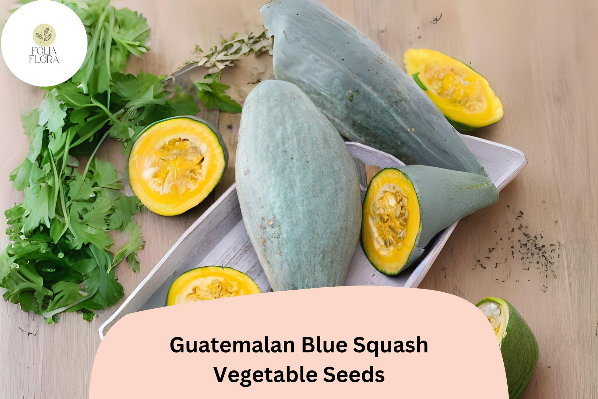Guatemalan Blue Squash Seeds | Rare Heirloom Winter Variety | Cucurbita maxima | Blue-Green Skin, Nutty Orange Flesh