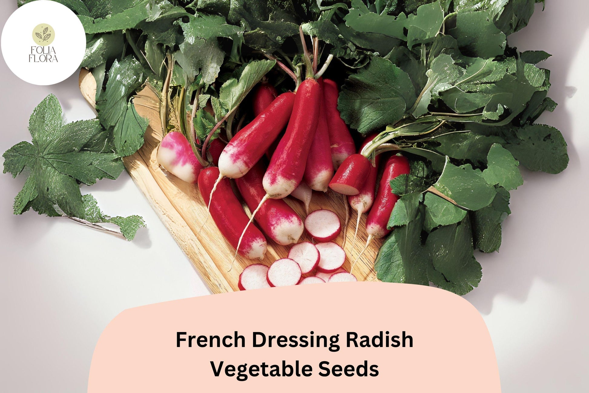 French Dressing Radish Seeds - Colorful Mix, 500+ Raphanus sativus Root Vegetable Seeds for Salad, Garnish, and Snacking