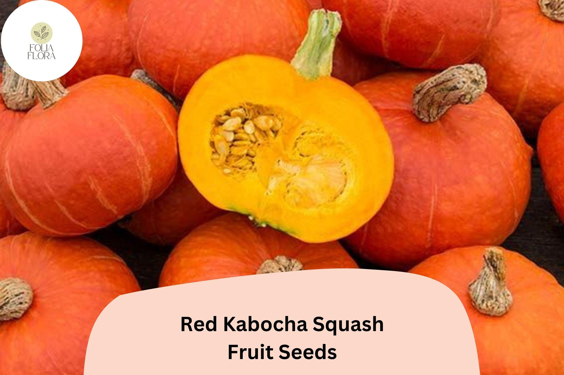 Red Kabocha Squash Seeds | Cucurbita maxima | Japanese Winter Variety for Roasting, Soups & Baking