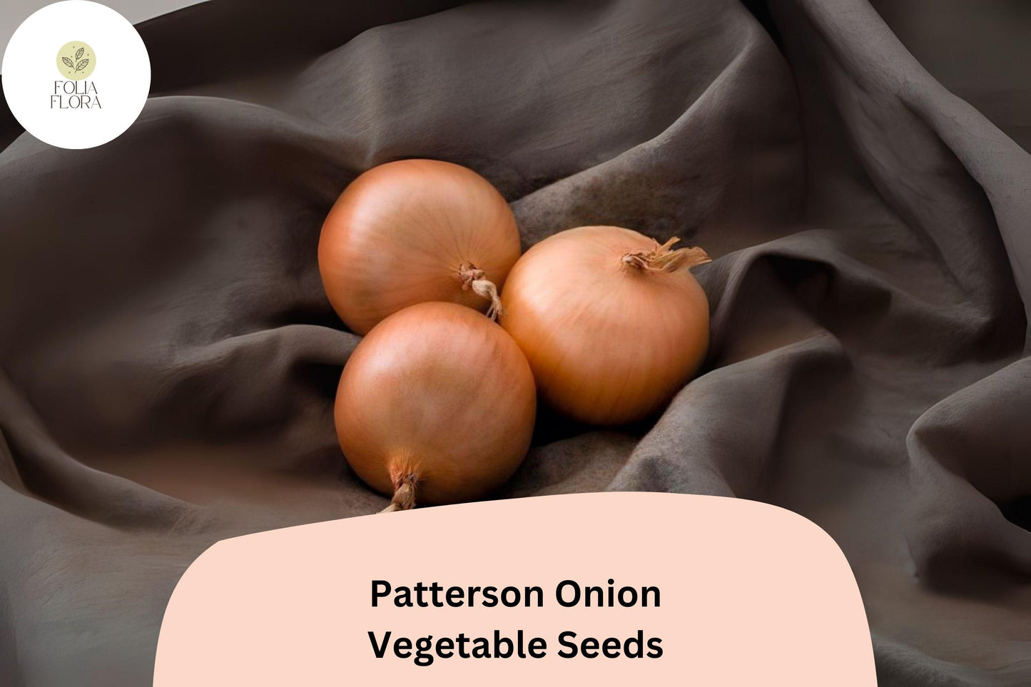 Patterson Onion Seeds | Long-Day Yellow Storage | Allium cepa | Heirloom Globe-Shaped Bulbs