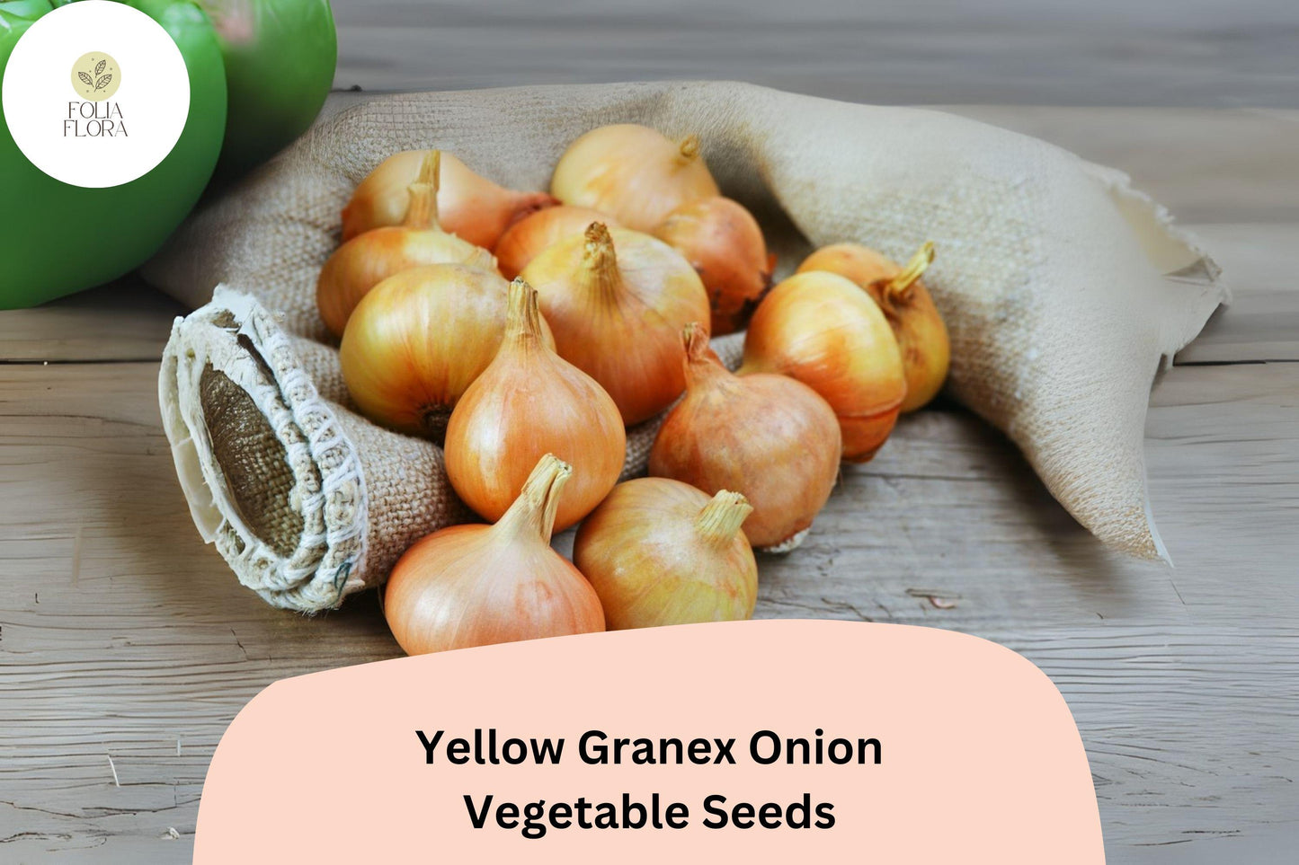 Yellow Granex Onion Seeds – Sweet Garden Variety, Large Flattened Bulbs, Allium cepa, 500+ Seeds