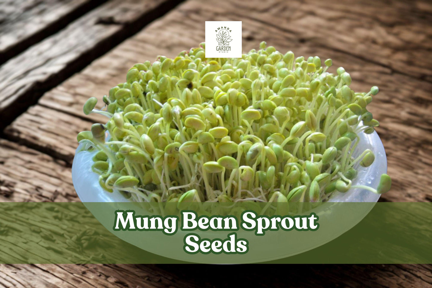 100 Mung Bean Sprout Seeds – Vigna radiata – Edible Fresh Sprouts for Salad, Stir-fry & Soup