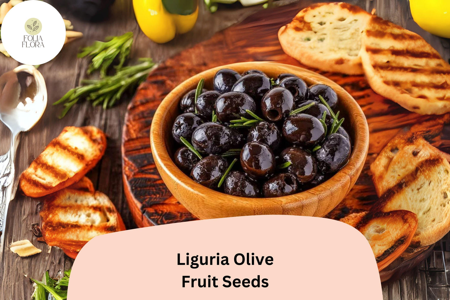Liguria Olive Tree Seeds | Olea europaea Italian Olive for Bonsai & Mediterranean Gardens
