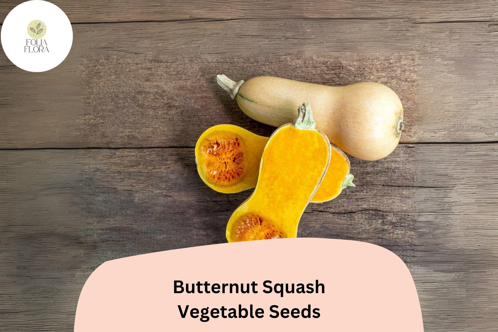 Heirloom Butternut Squash Seeds 25+ | Winter Vegetable, Nutty Flesh, Cucurbita moschata