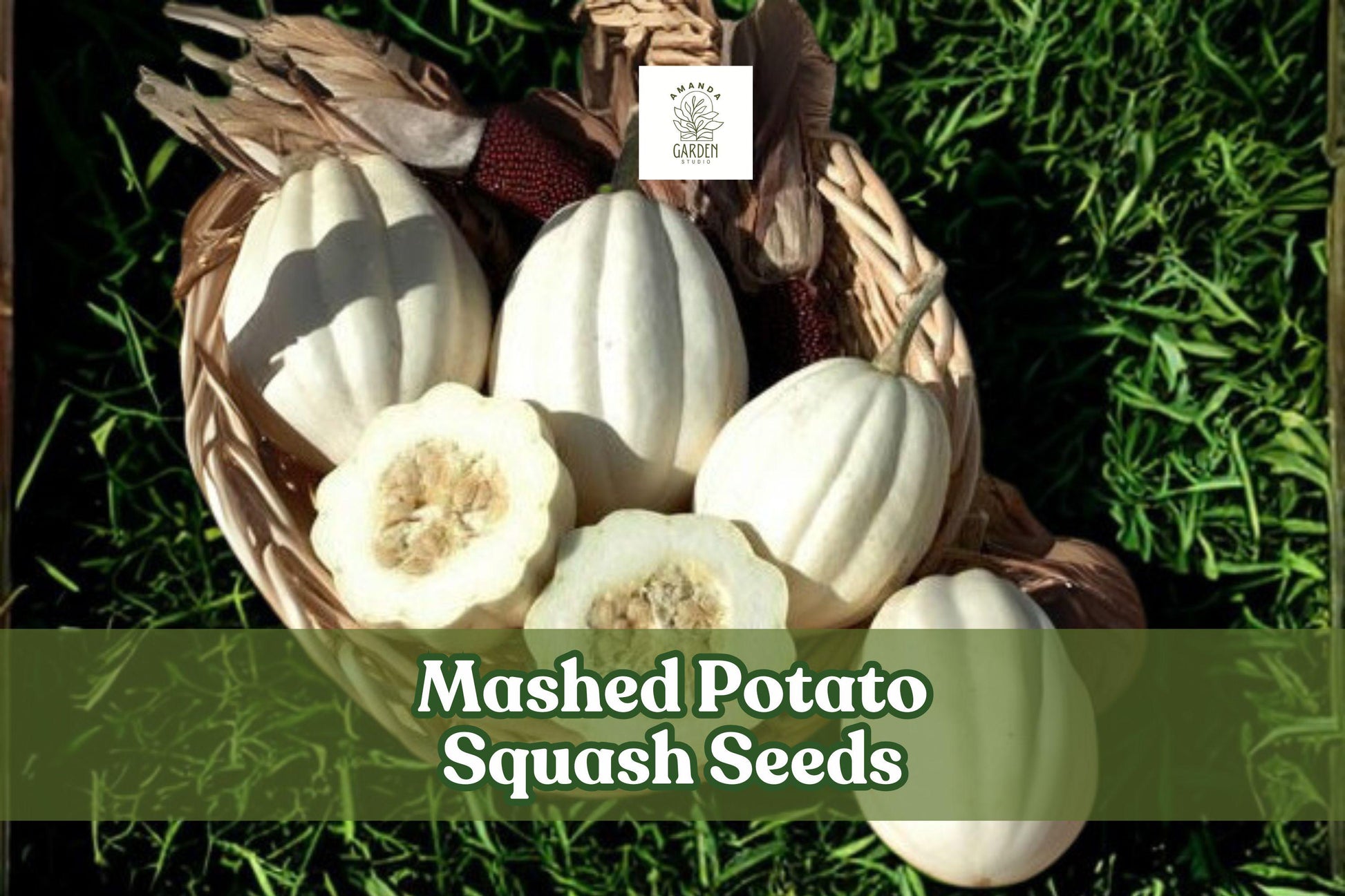 Mashed Potato Squash Seeds – Cucurbita pepo – White Gourmet Winter Squash for Roasting & Baking, Vining Plant