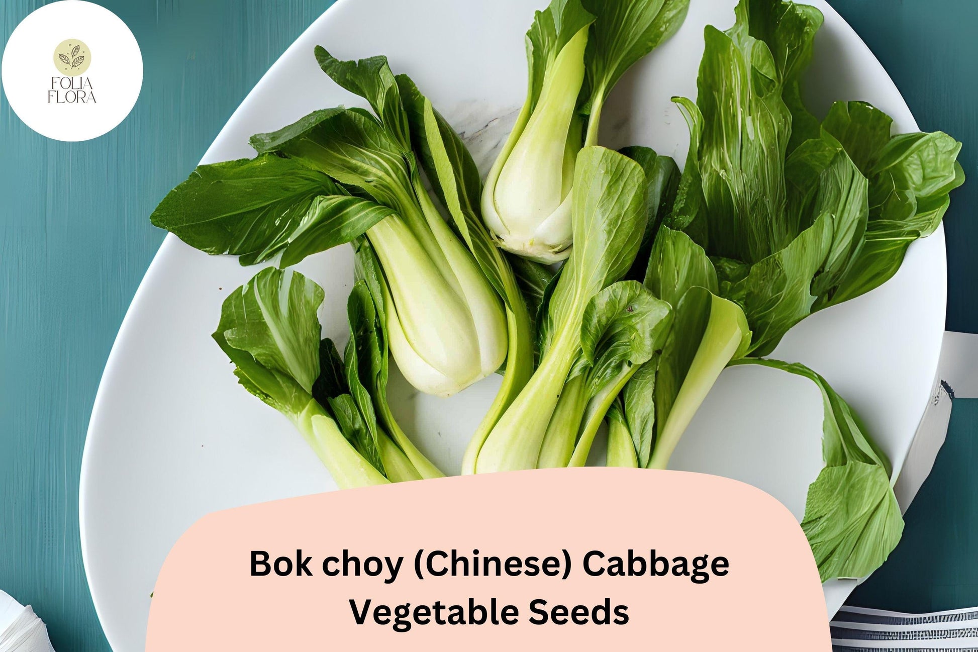 500+ Bok Choy Seeds | Chinese Cabbage | Brassica rapa var. chinensis | Heirloom Asian Vegetable for Garden & Cooking