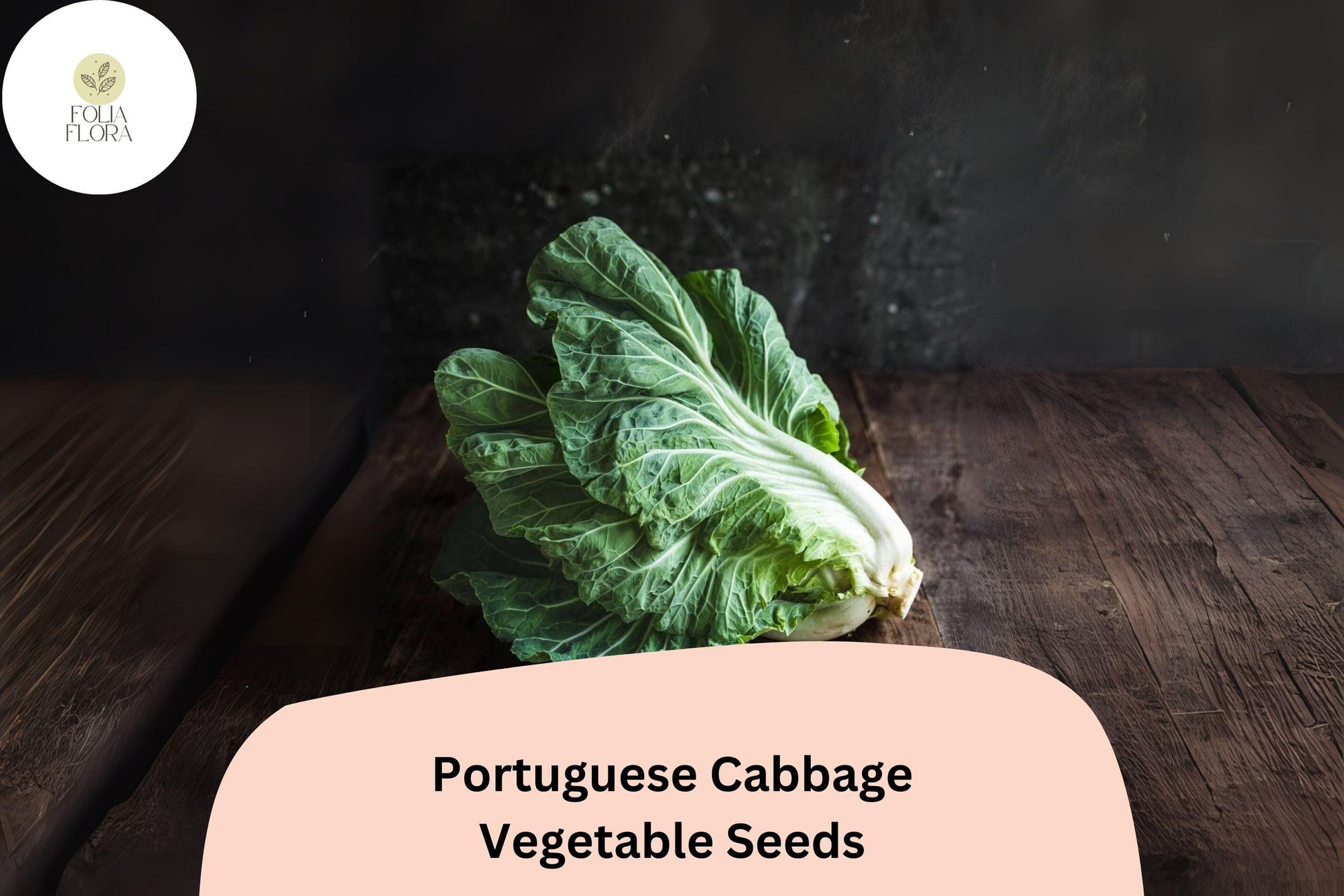 Bulk Portuguese Cabbage Seeds | Brassica oleracea | Heirloom Green Leafy Vegetable | Garden Planting