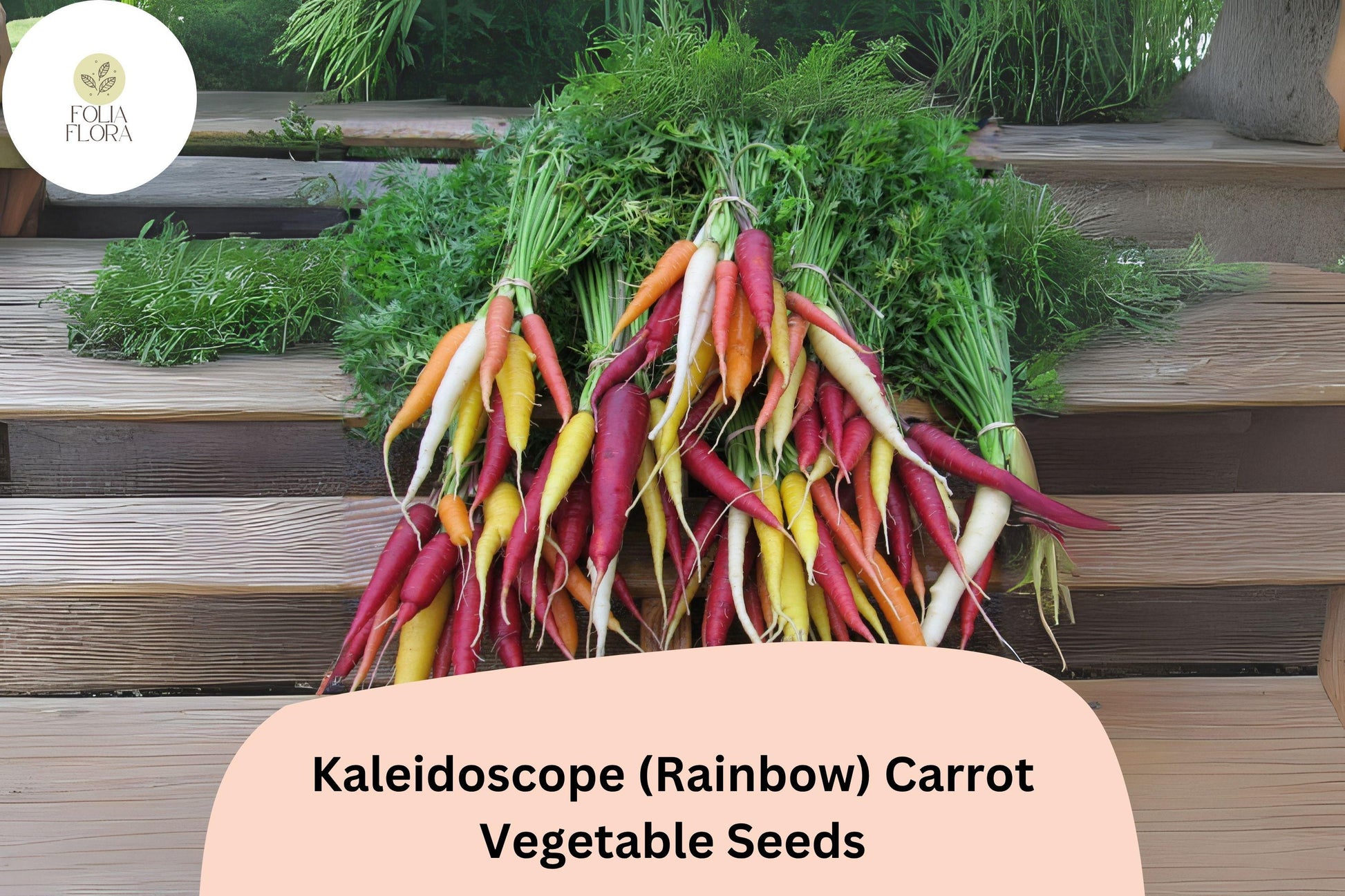 Kaleidoscope Rainbow Carrot Seeds | Heirloom Mix of Colorful Root Vegetables | Daucus carota Subsp. sativus