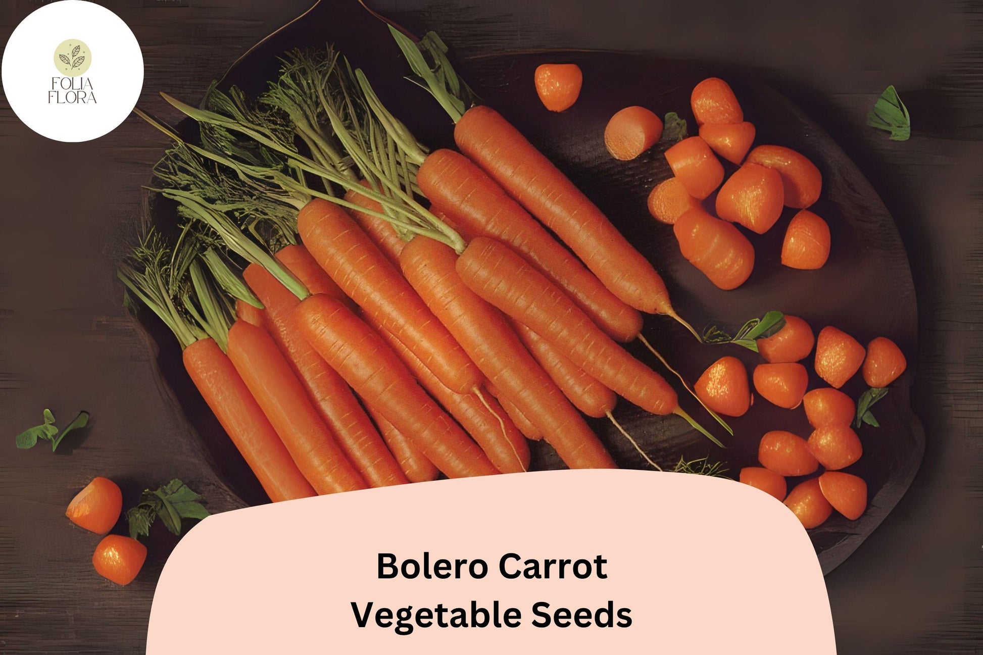 Bolero Carrot Seeds | Nantes-Type Root Vegetable for Gardening | Daucus carota subsp. sativus