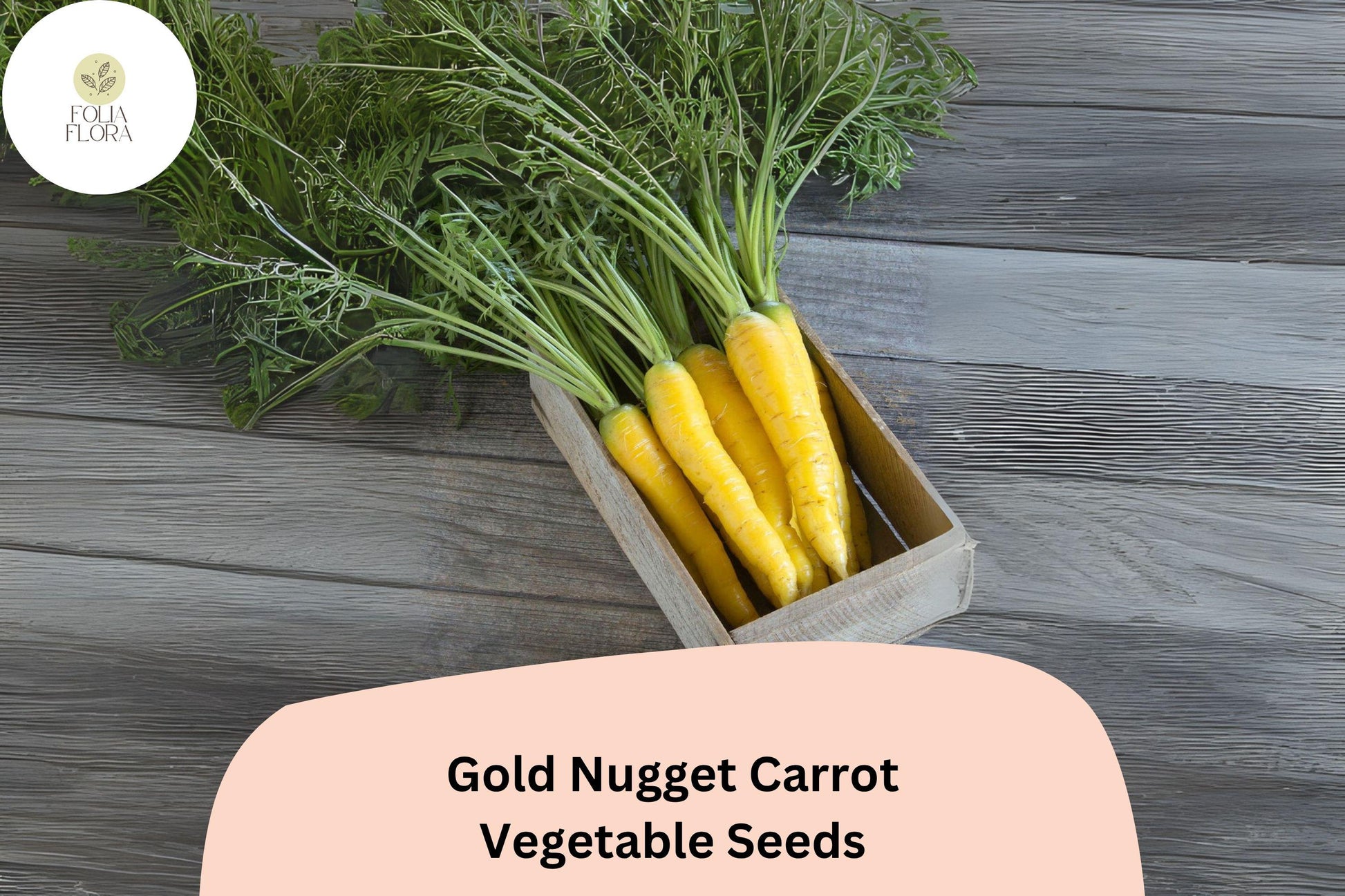 Gold Nugget Carrot Seeds | Golden-Yellow Heirloom Root Vegetable | Daucus carota subsp. sativus