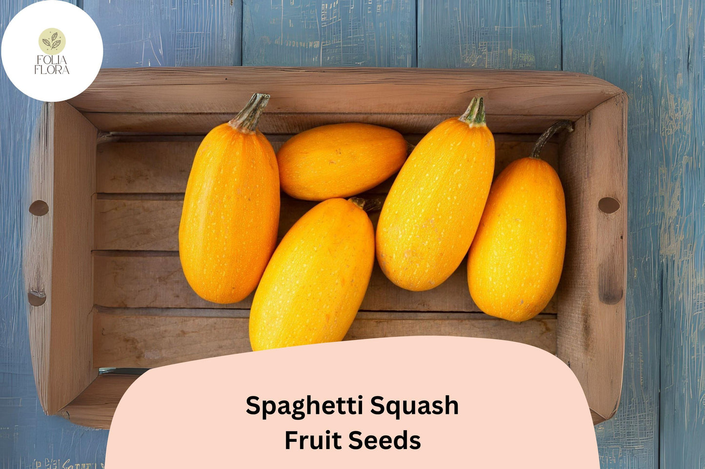 25+ Spaghetti Squash Seeds | Winter Squash Variety for Nutritious Pasta Alternative | Cucurbita pepo