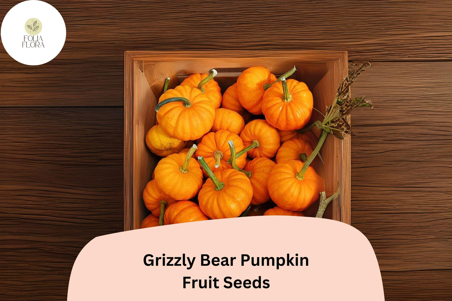 Jack Be Little Pumpkin Seeds – Miniature Heirloom Cucurbita pepo for Fall Decor & Edible Crafts, 25+ Seeds