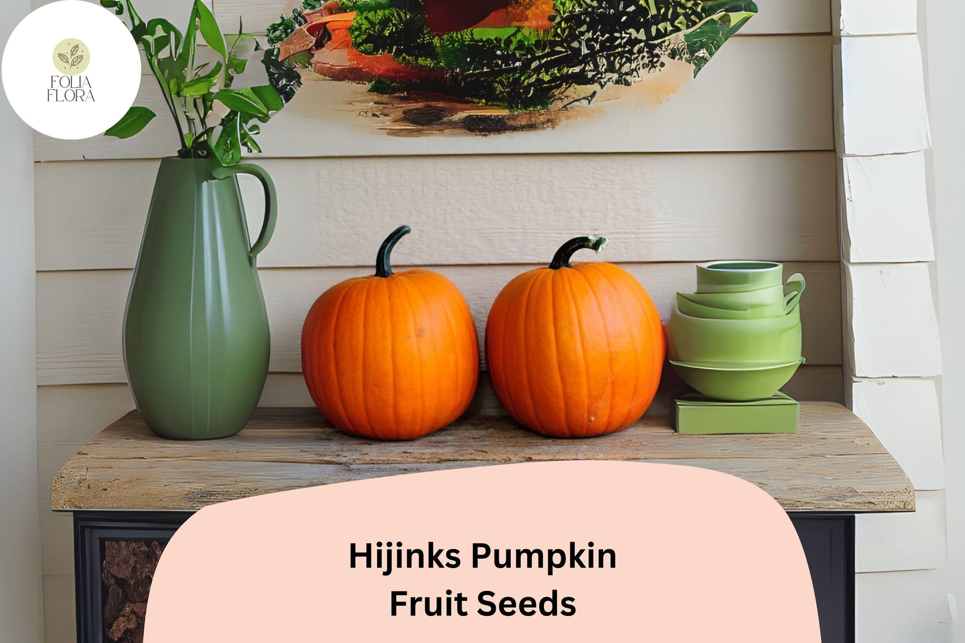 Hijinks Pumpkin Seeds | Mini Fall Decor Pumpkins | Cucurbita pepo | Bright Orange, 6-7 Inches