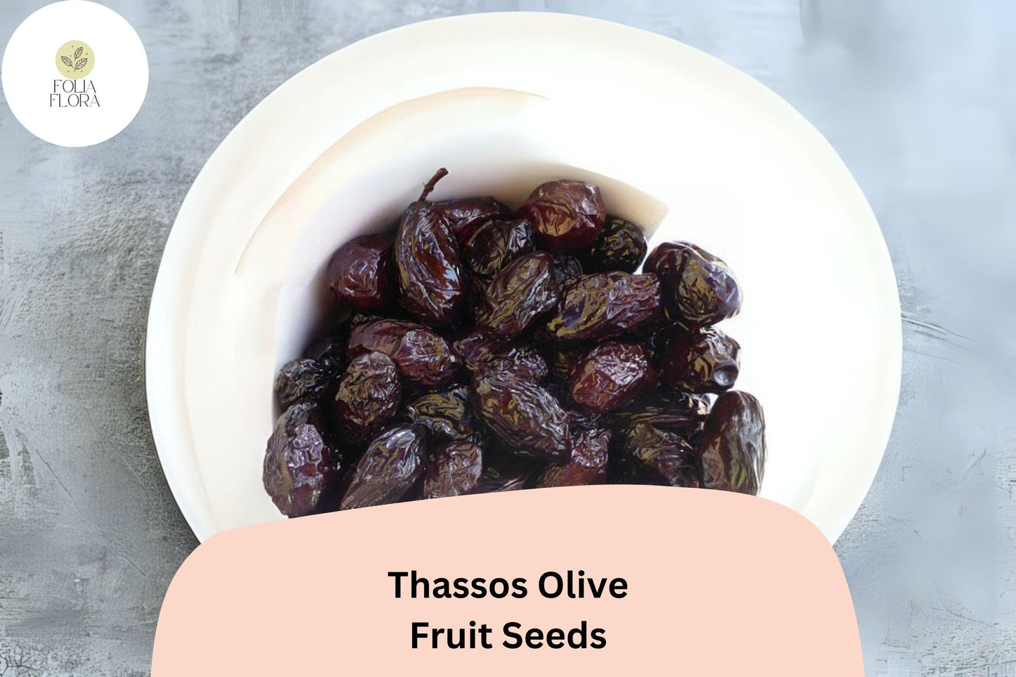 Thassos Olive Seeds | Greek Heirloom Olea europaea for Bonsai & Garden | Mediterranean Evergreen Tree