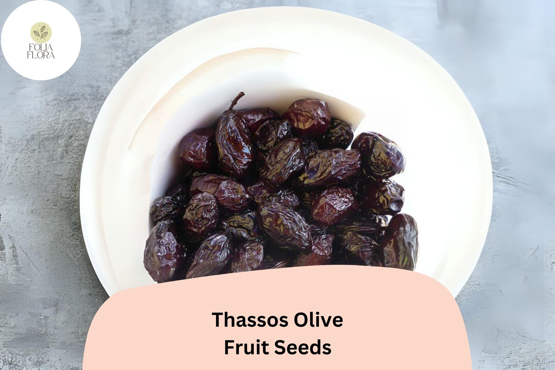 Thassos Olive Seeds | Greek Heirloom Olea europaea for Bonsai & Garden | Mediterranean Evergreen Tree