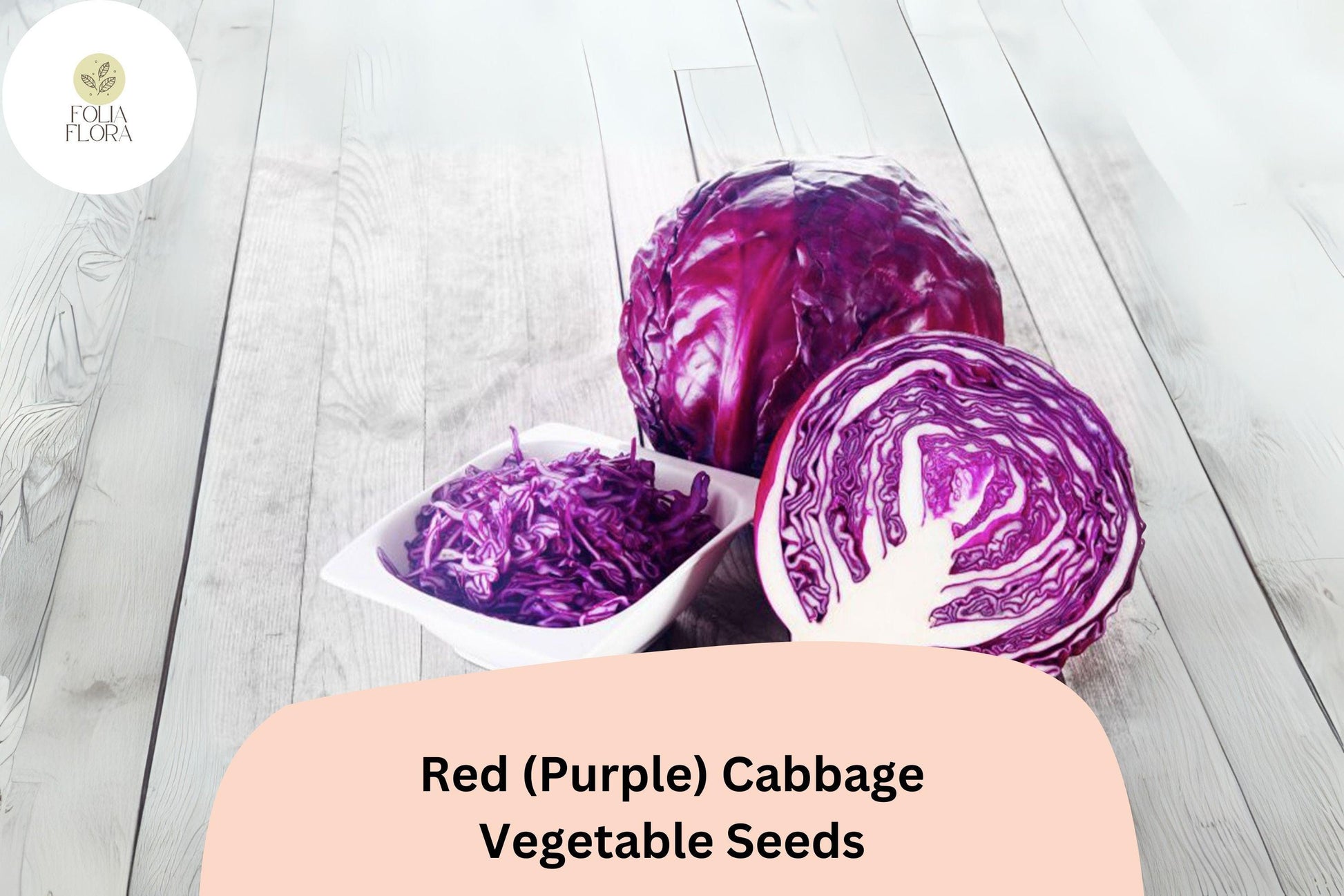 Heirloom Red Cabbage Seeds | 500+ Bulk Vegetable Seeds for Garden, Brassica oleracea, Purple Cabbage for Fresh, Cooking & Pickling