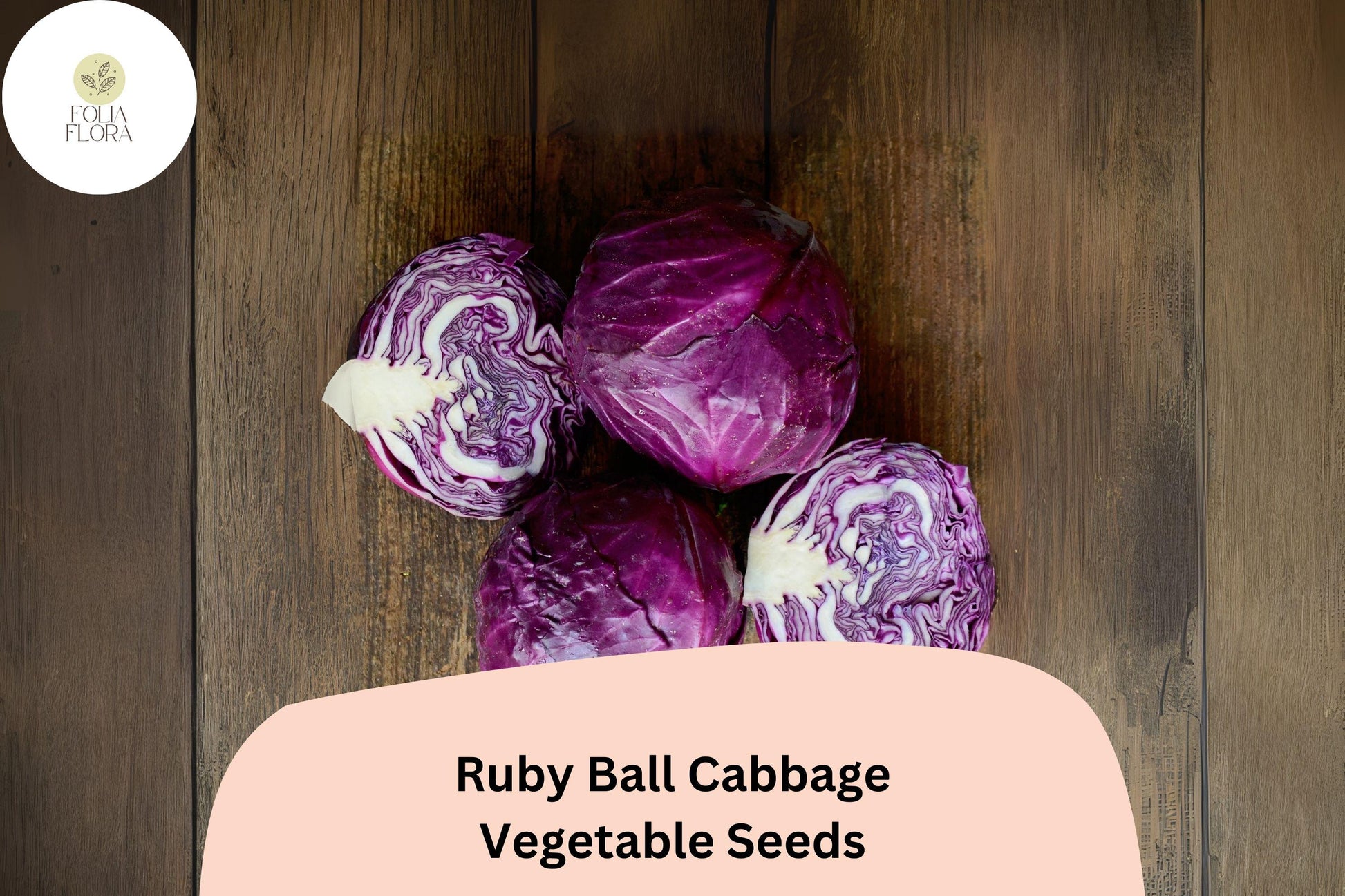 Ruby Ball Cabbage Seeds – 500+ Heirloom Red Brassica oleracea for Fresh Eating & Garden Display