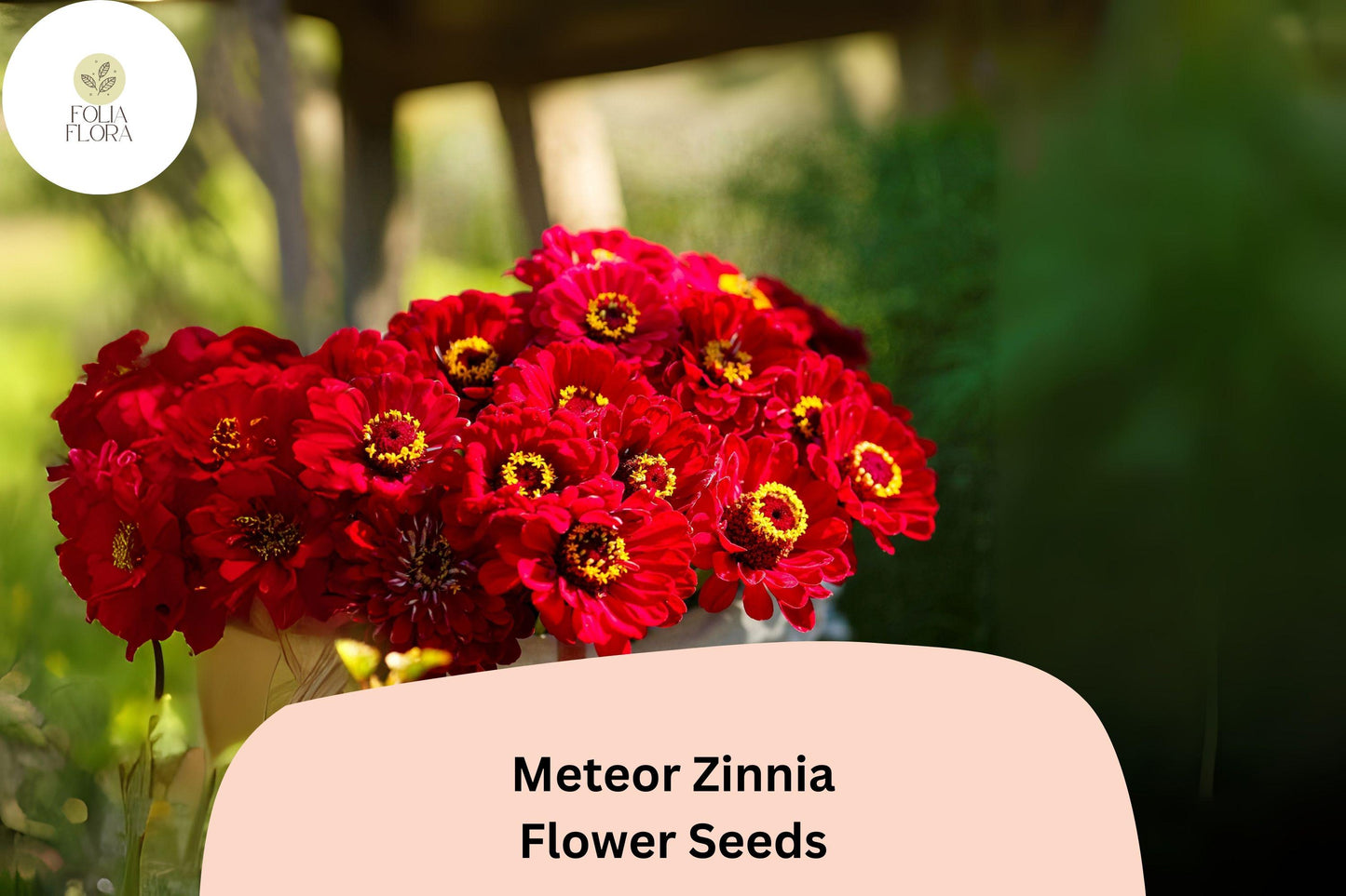 100+ Zinnia Seeds – Meteor Deep Red Blooms for Garden, Borders & Cut Flowers – Zinnia elegans, Pollinator-Friendly, Non-GMO