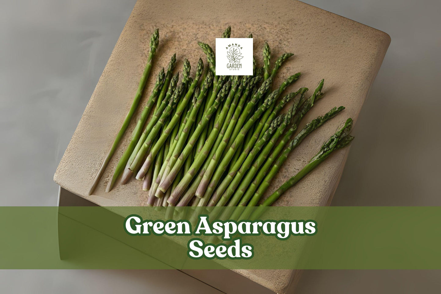 Green Asparagus Seeds – Non-GMO Heirloom Perennial Vegetable for Home Gardens, 150 Seeds, Asparagus officinalis