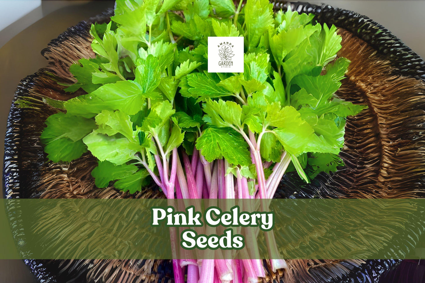 Pink Celery Seeds – Non-GMO Heirloom Apium graveolens for Home Gardens, Containers, and Raised Beds