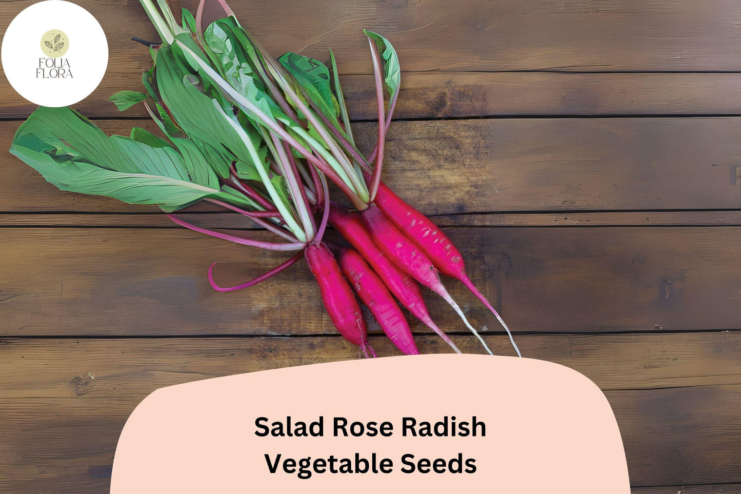 Salad Rose Radish Seeds – 500+ Non-GMO Heirloom Raphanus sativus Pink Roots for Fresh Salads and Quick Harvest