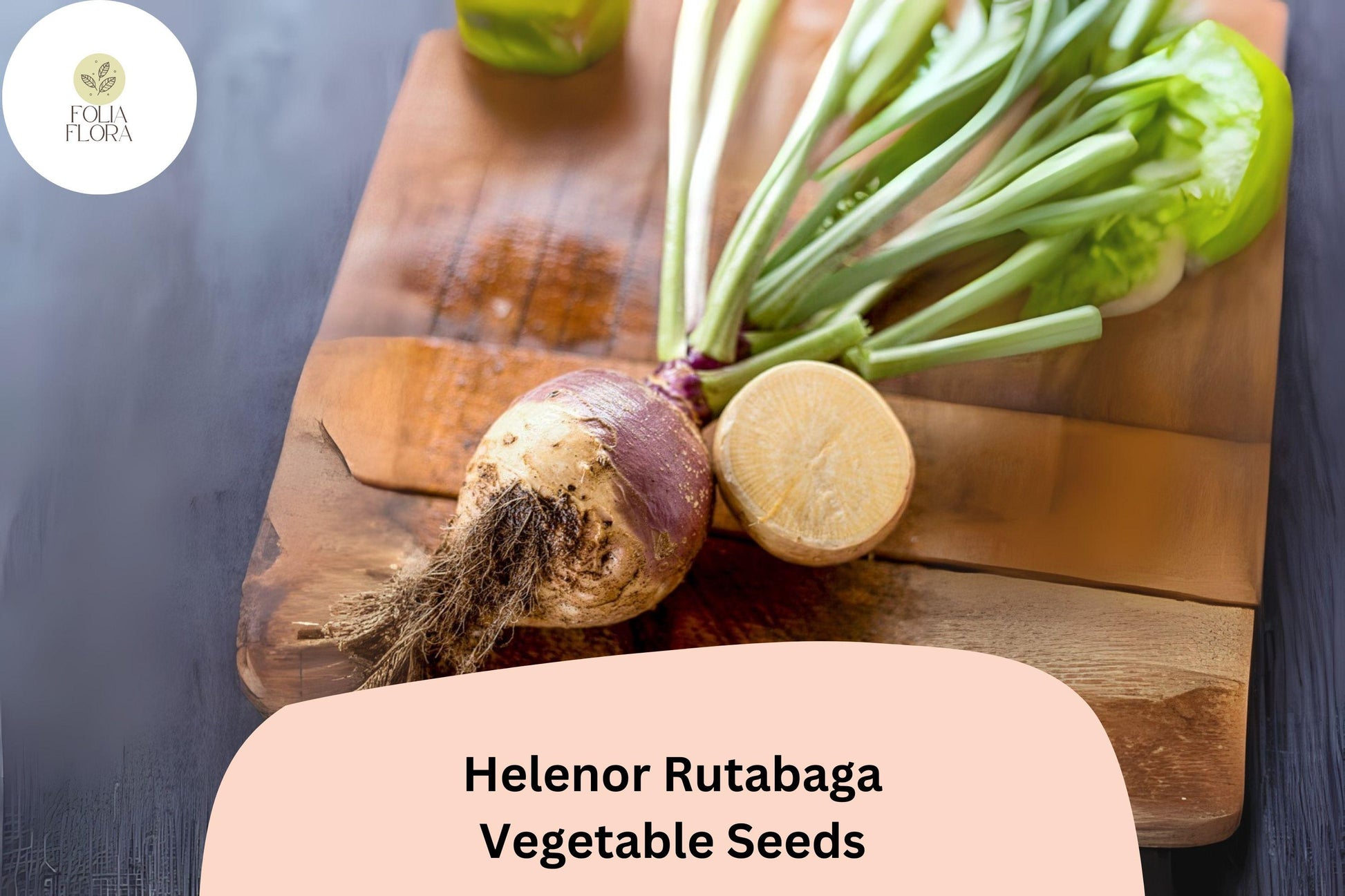 Rutabaga Seeds 500+ Helenor Brassica napobrassica Heirloom Root Vegetable for Fall Garden Planting