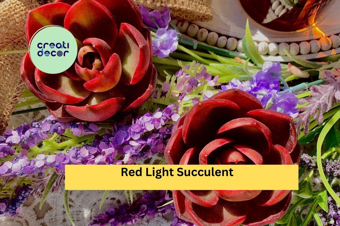 Red Light Succulent Plant | Live Bare Root Succulent with Red-Green Foliage for Indoor & Outdoor Decor, Wedding Favors, Gift