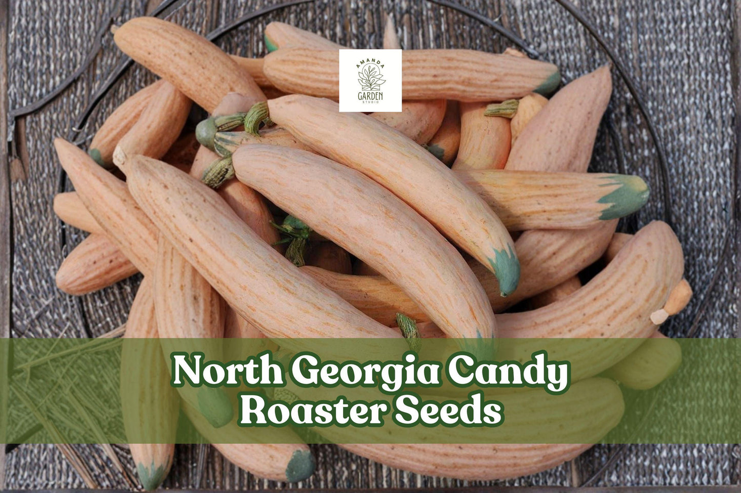 North Georgia Candy Roaster Squash Seeds - 10 Heirloom Cucurbita maxima Vining Vegetable Seeds