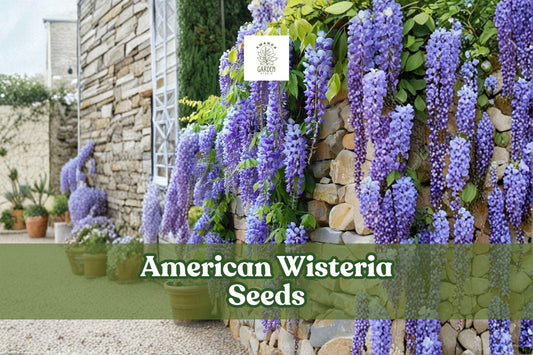 10 American Wisteria Seeds Wisteria frutescens Native Non-Invasive Vine Purple Bloom Pollinator-Friendly