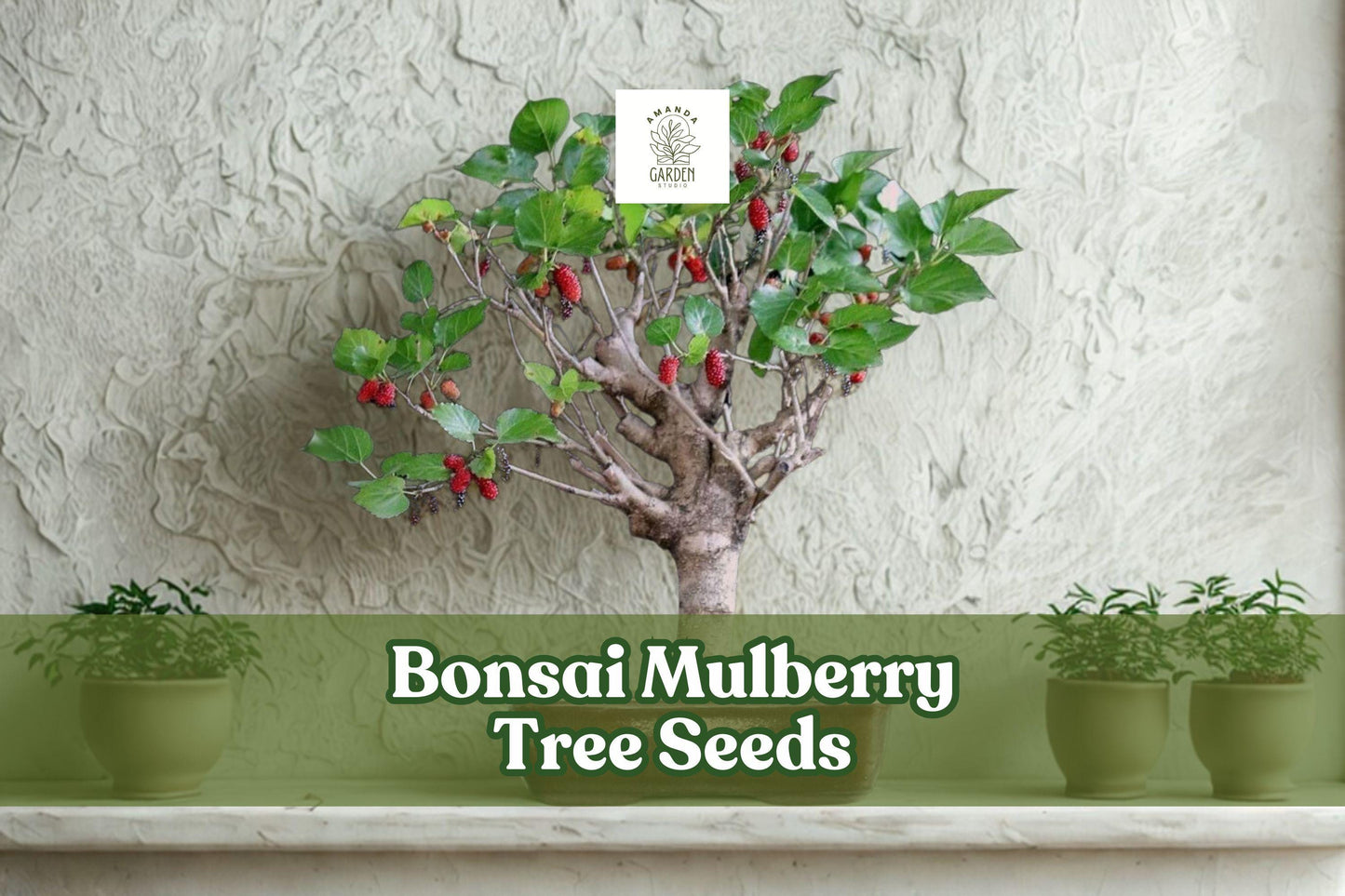 25 Bonsai Mulberry Tree Seeds – Morus Nigra, Miniature Decorative Fruit Tree for Bonsai & Indoor Garden