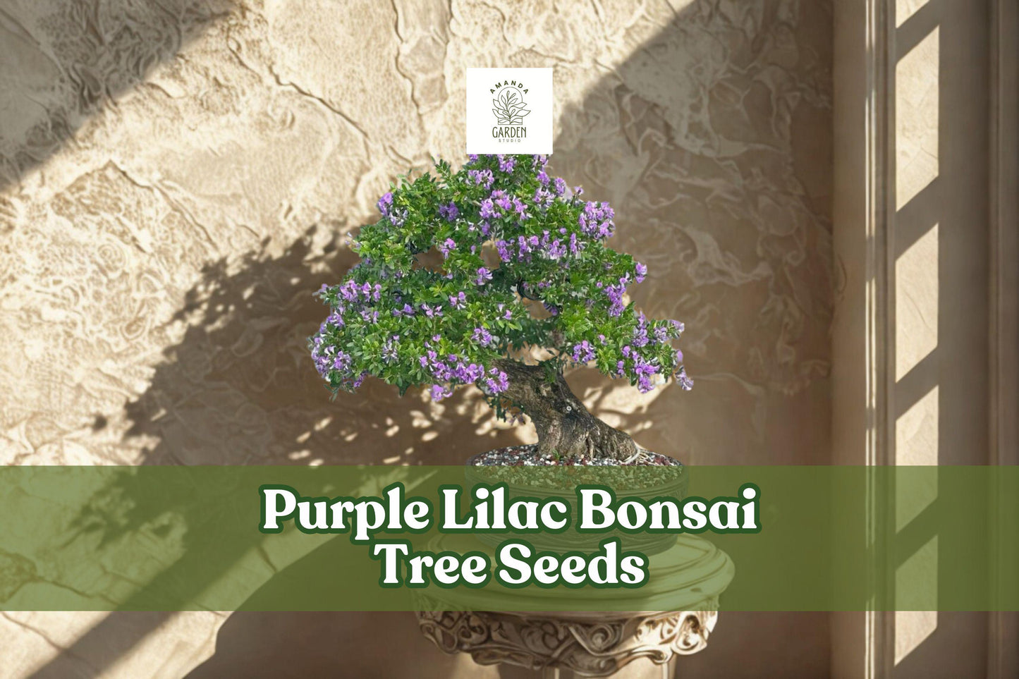 Purple Lilac Bonsai Seeds | Syringa vulgaris Flowering Shrubs for Bonsai & Garden