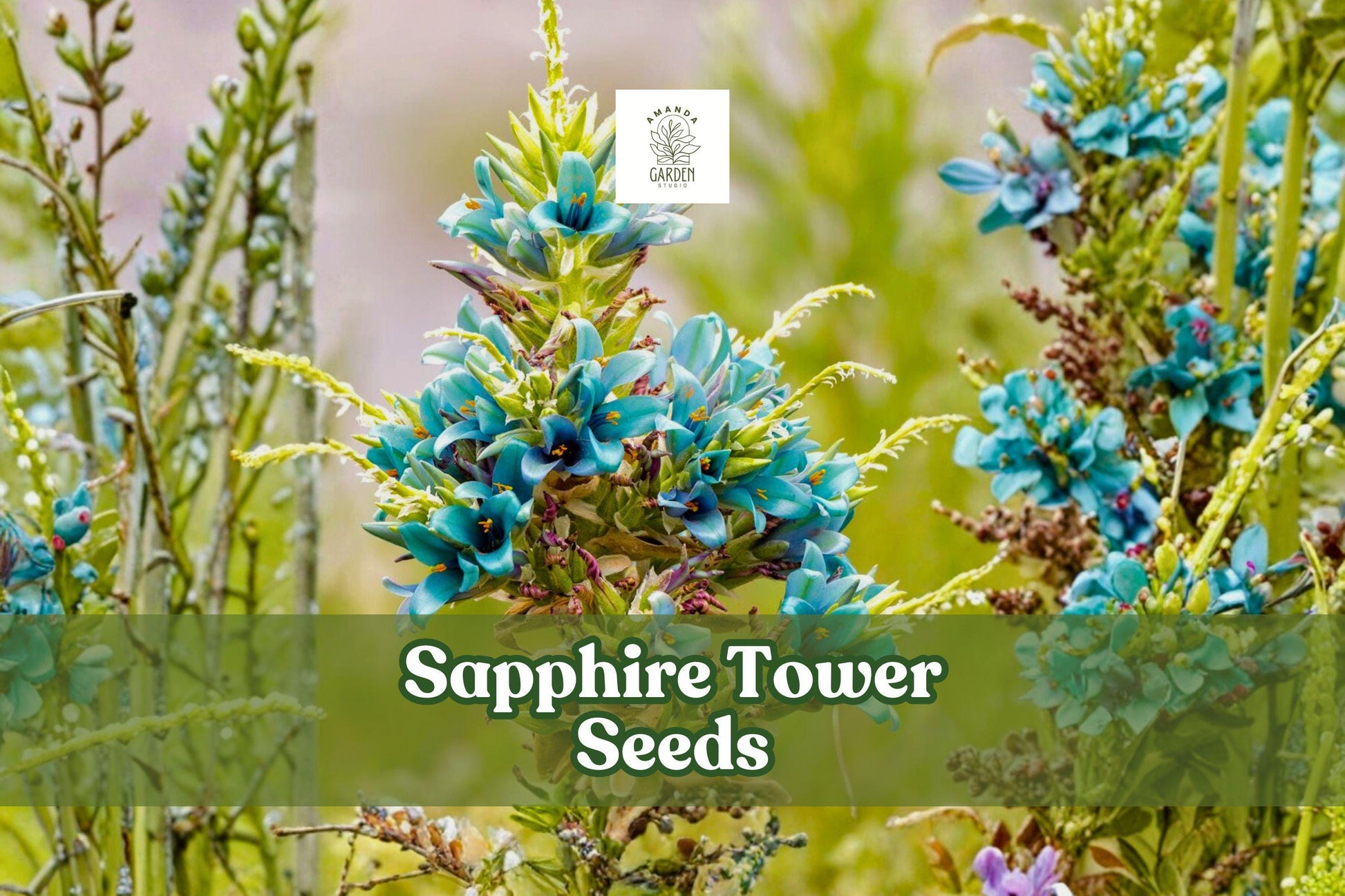 Sapphire Tower Seeds (Puya alpestris) – Rare Blue Flowering Bromeliad, Drought-Tolerant Ornamental Plant, 10 Seeds