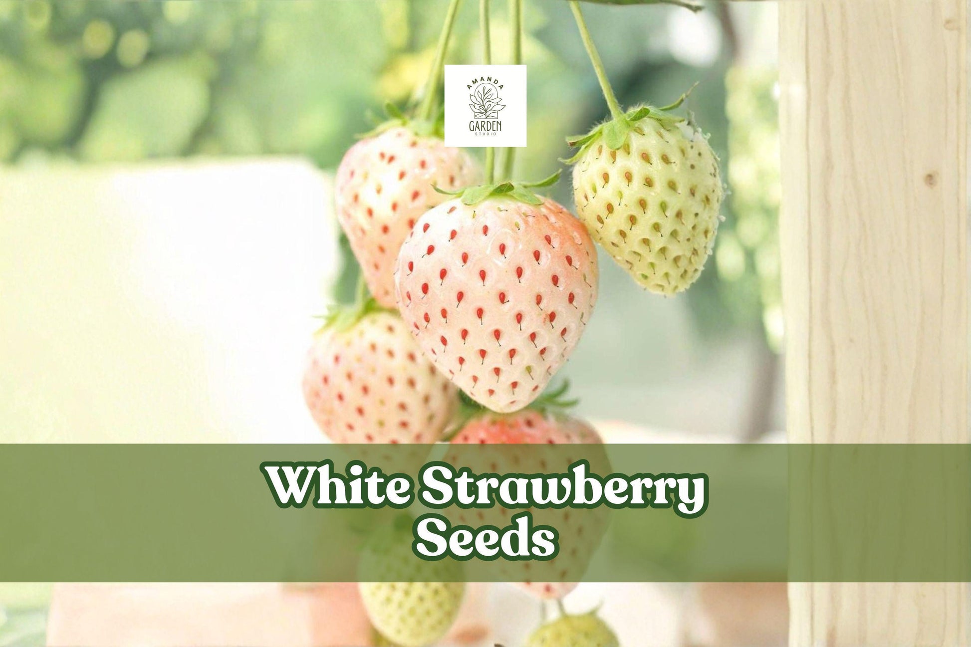 White Strawberry Seeds | Pineberry Fragaria × ananassa Exotic Fruit | 500+ Seeds for Home Garden